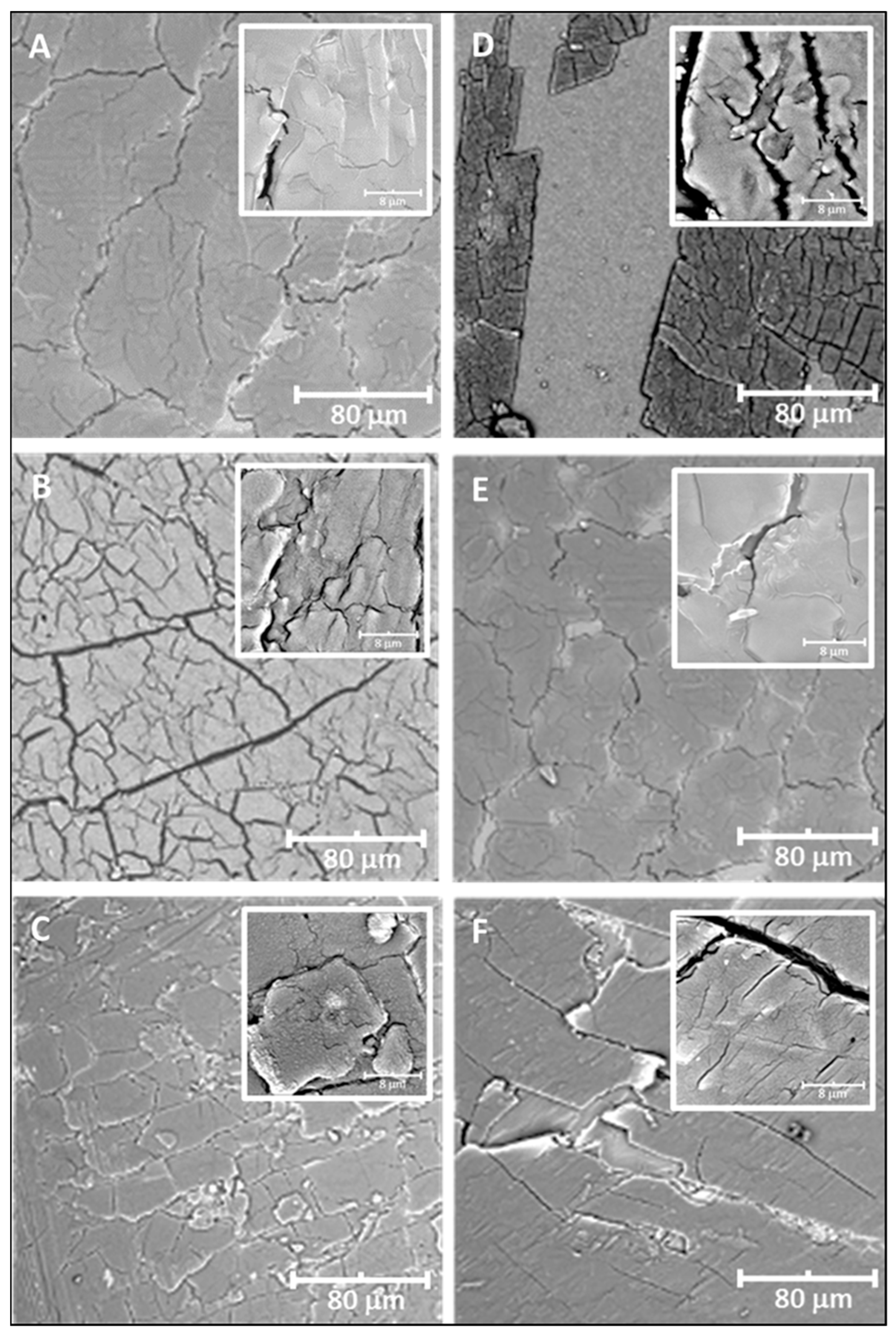 Pharmaceutics 16 00642 g006