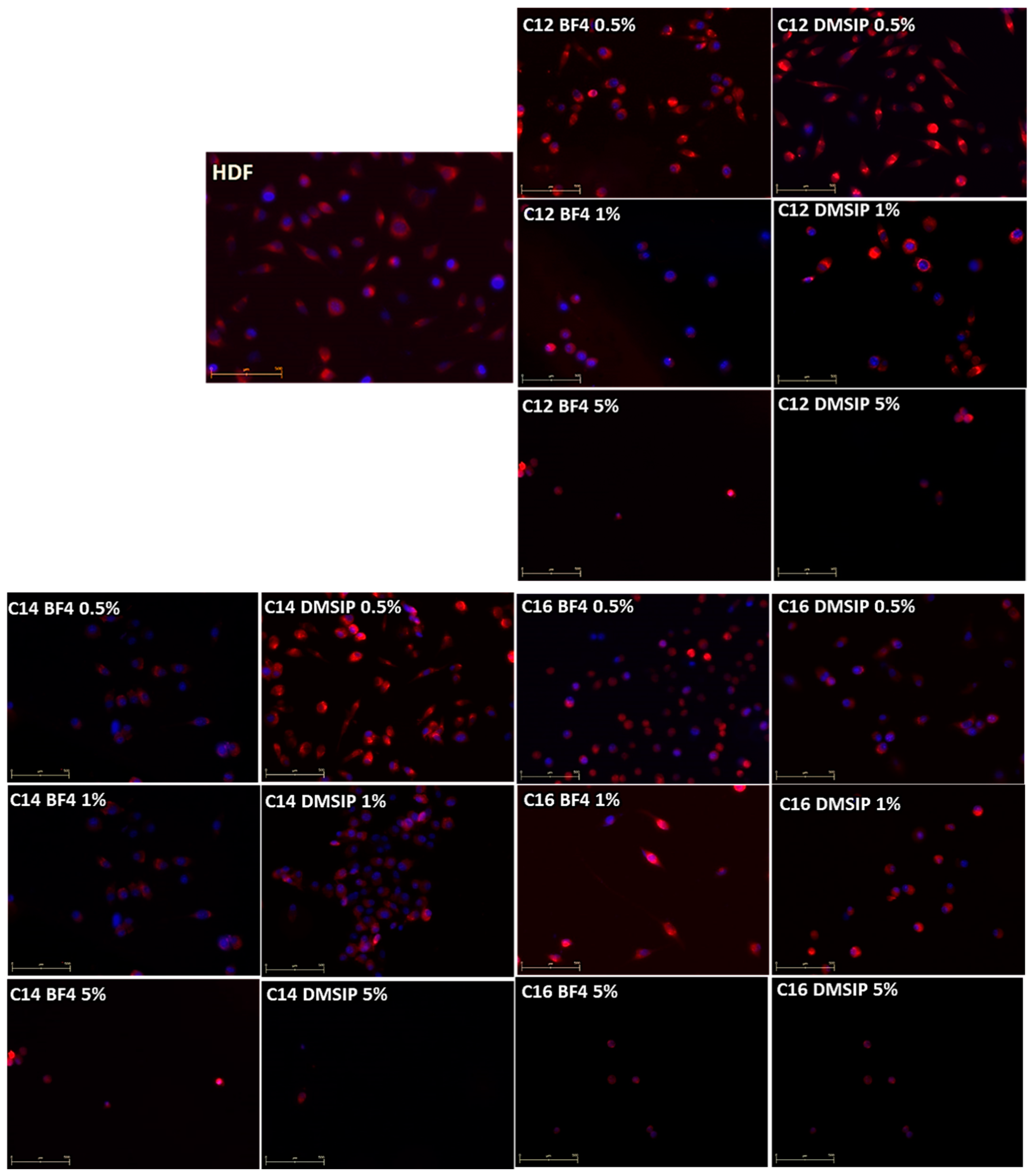Pharmaceutics 16 00642 g014