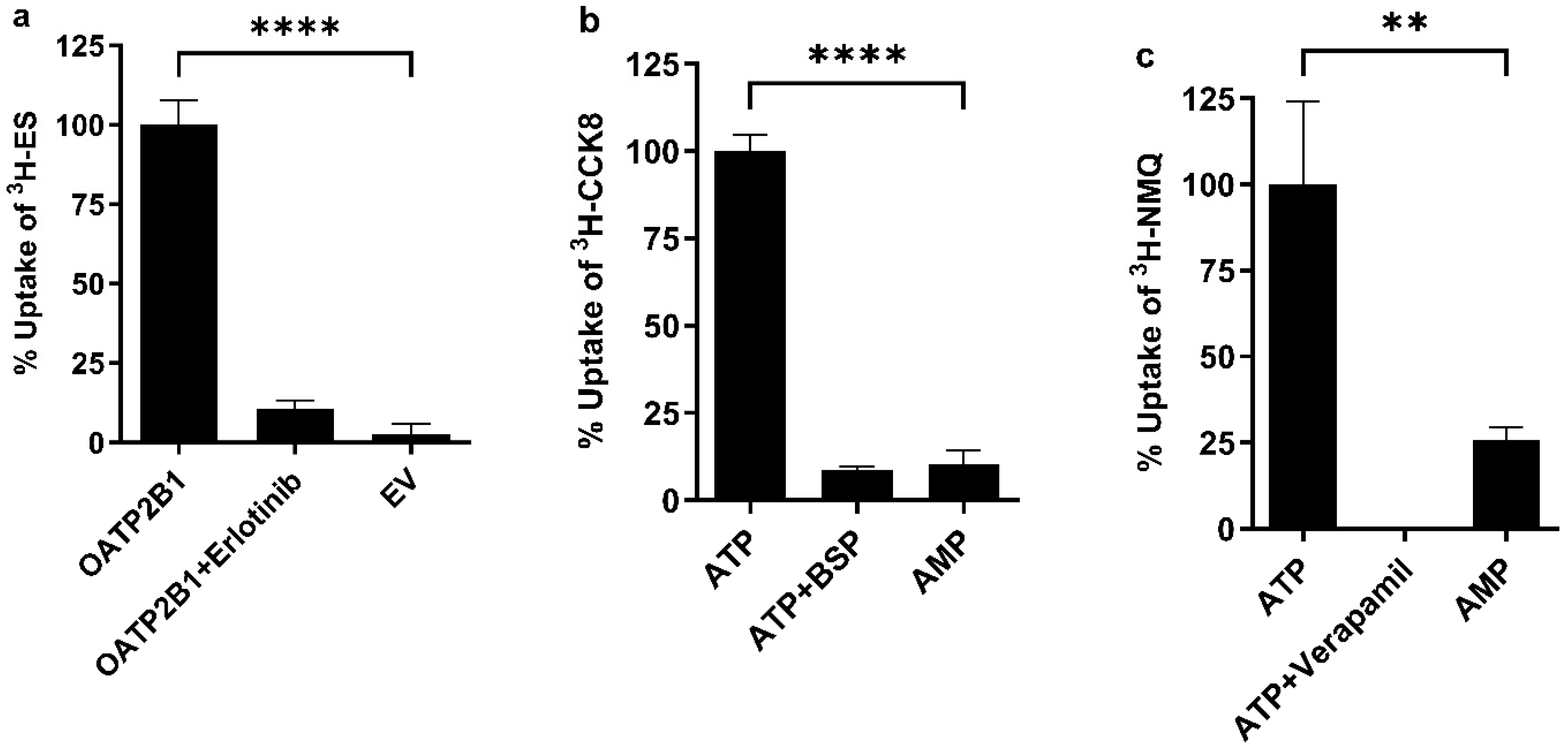 Pharmaceutics 16 00647 g002