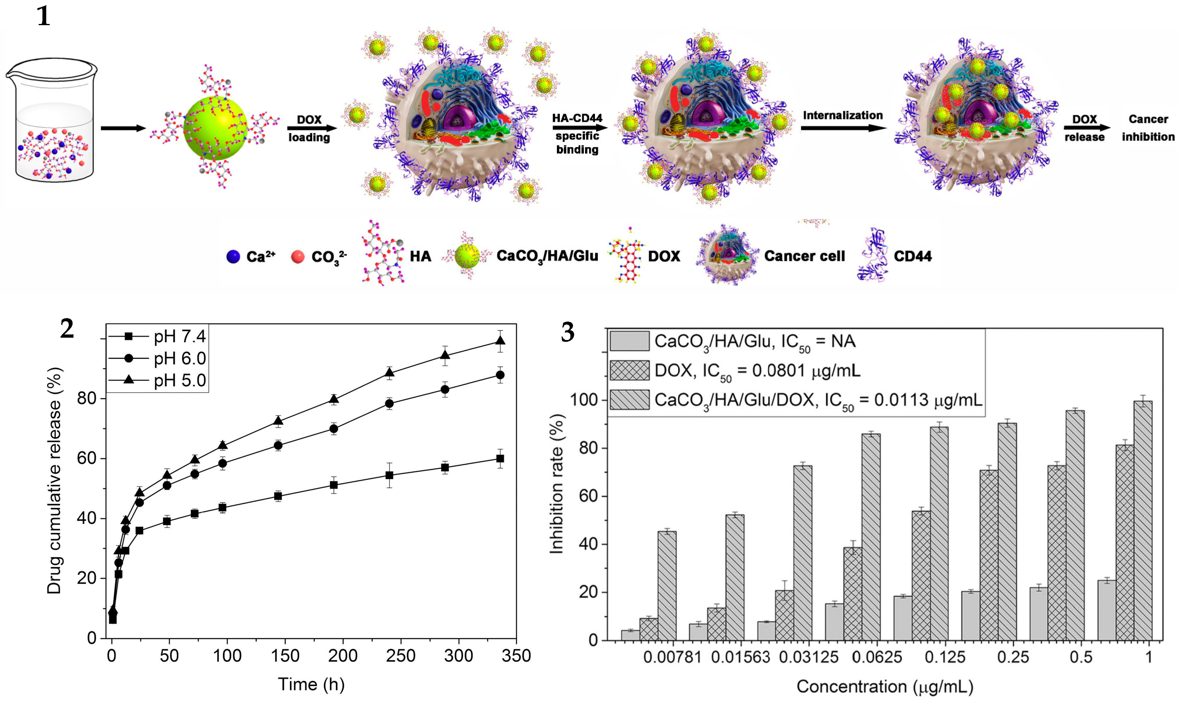 Pharmaceutics 16 00653 g002