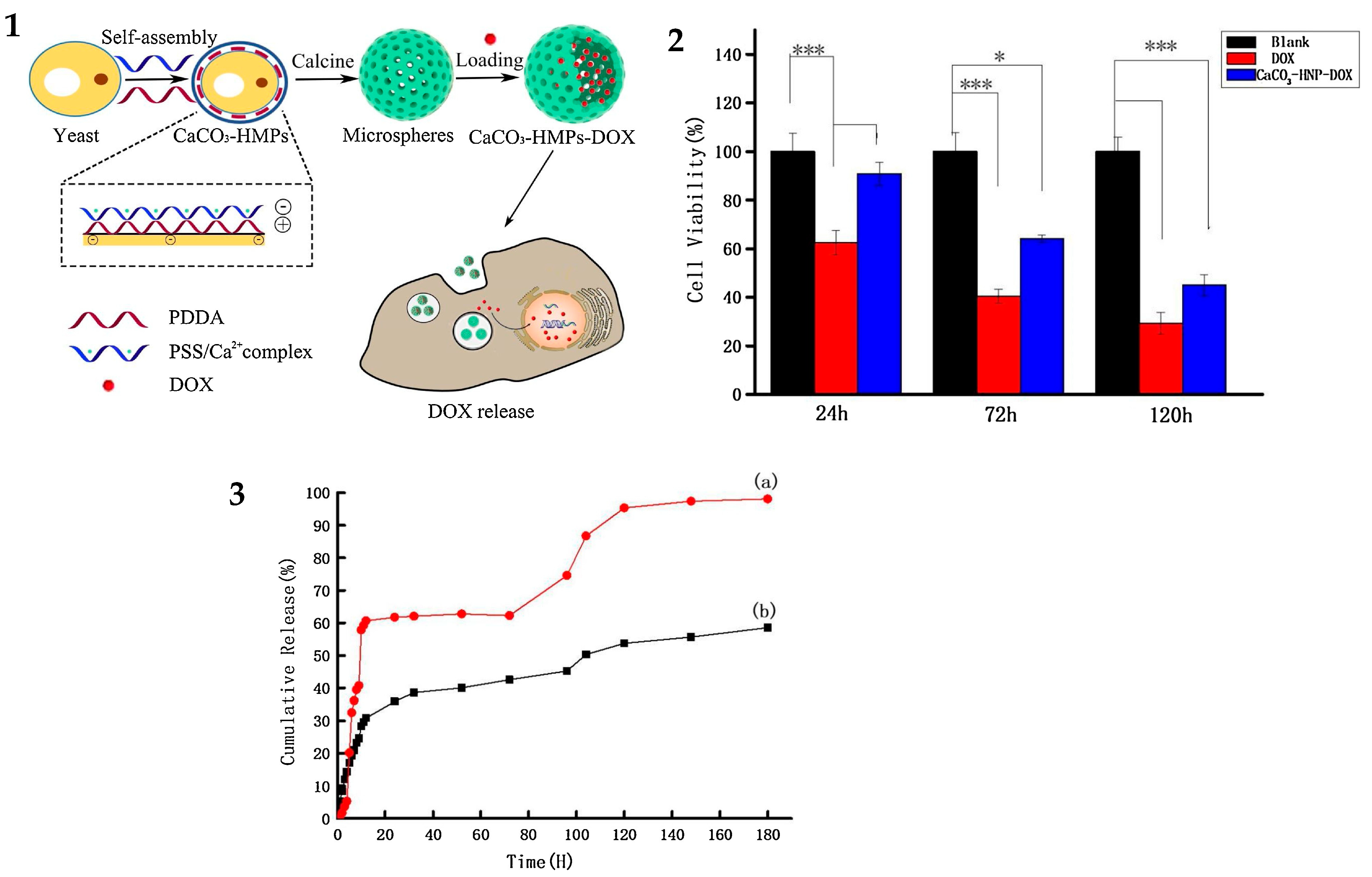 Pharmaceutics 16 00653 g004