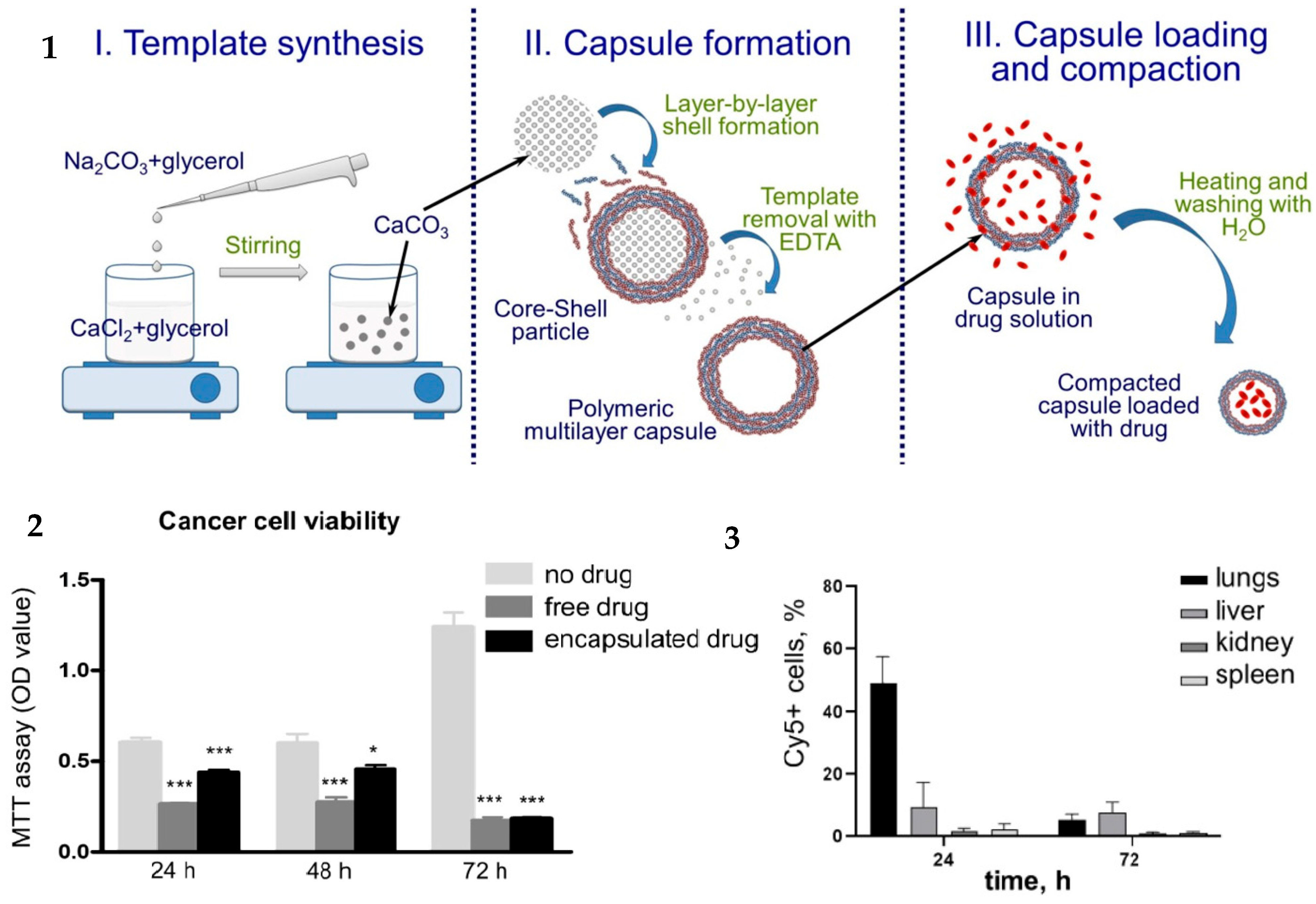 Pharmaceutics 16 00653 g006