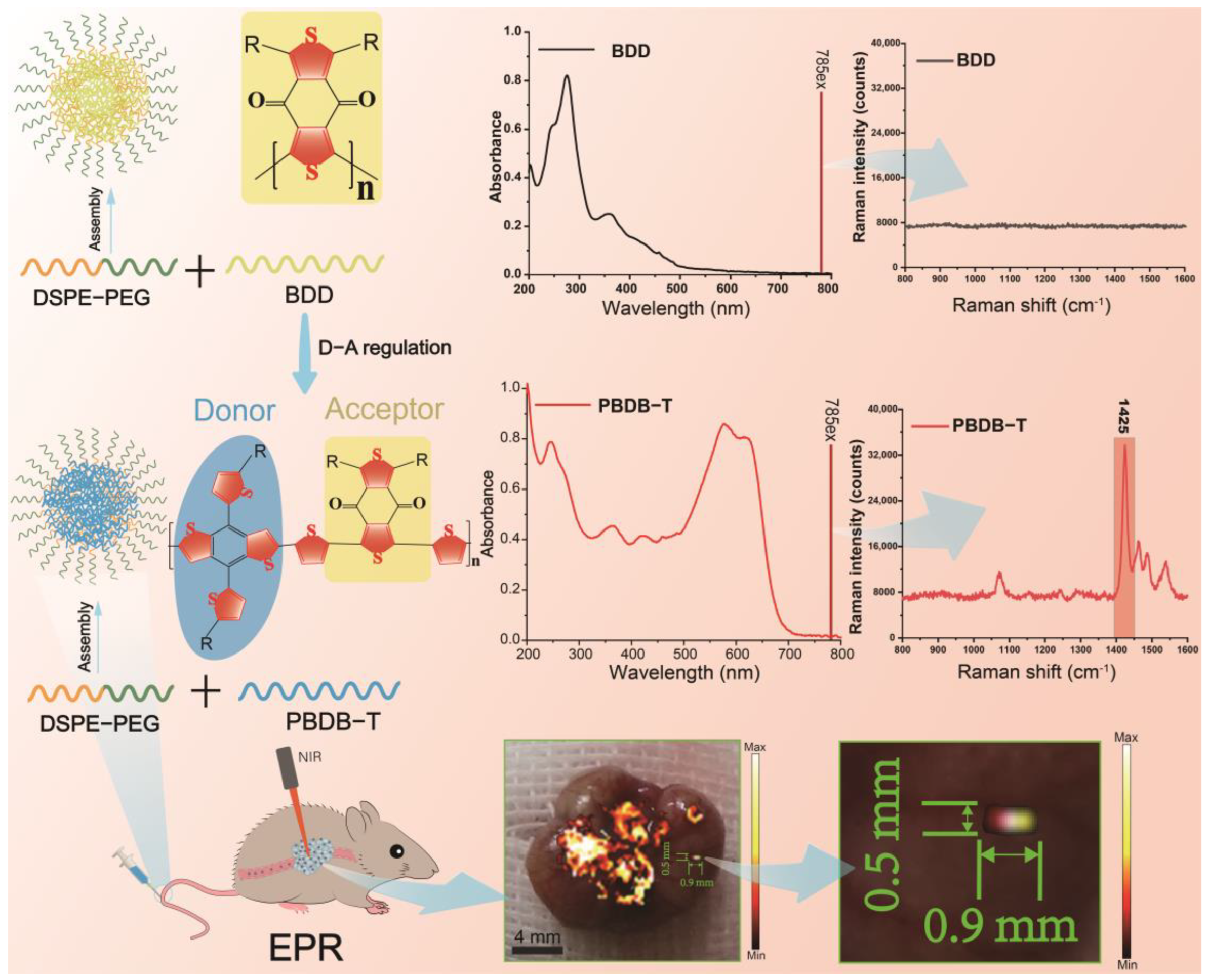 Pharmaceutics 16 00655 sch001
