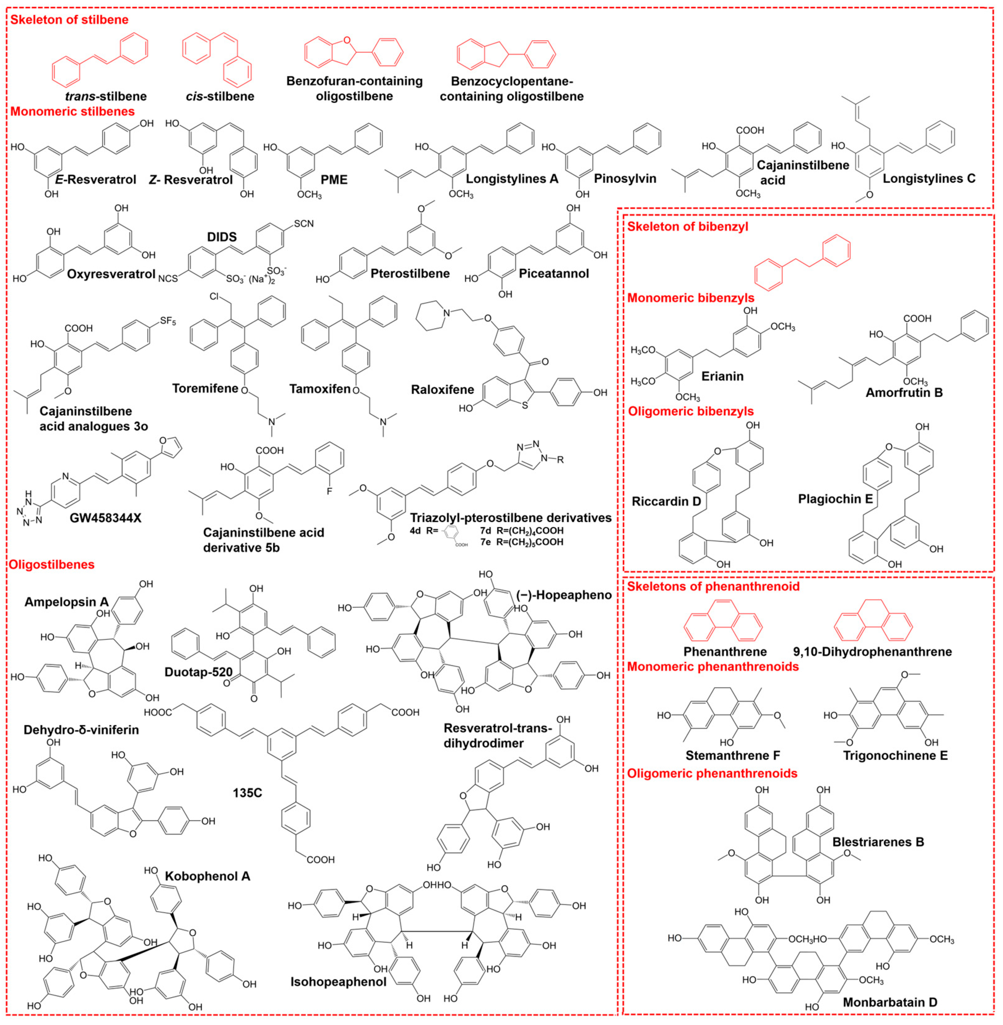 Pharmaceutics 16 00663 g001