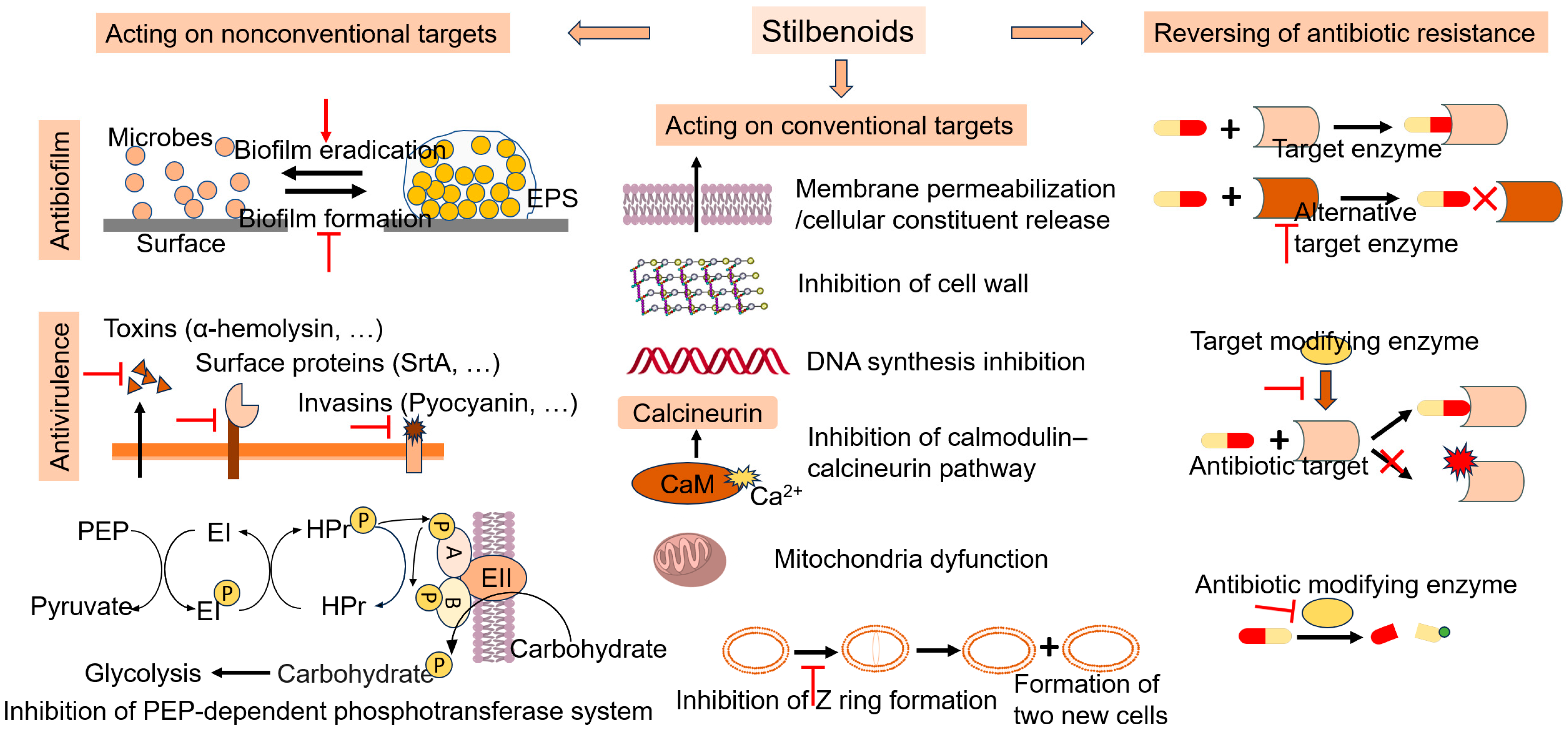 Pharmaceutics 16 00663 g002
