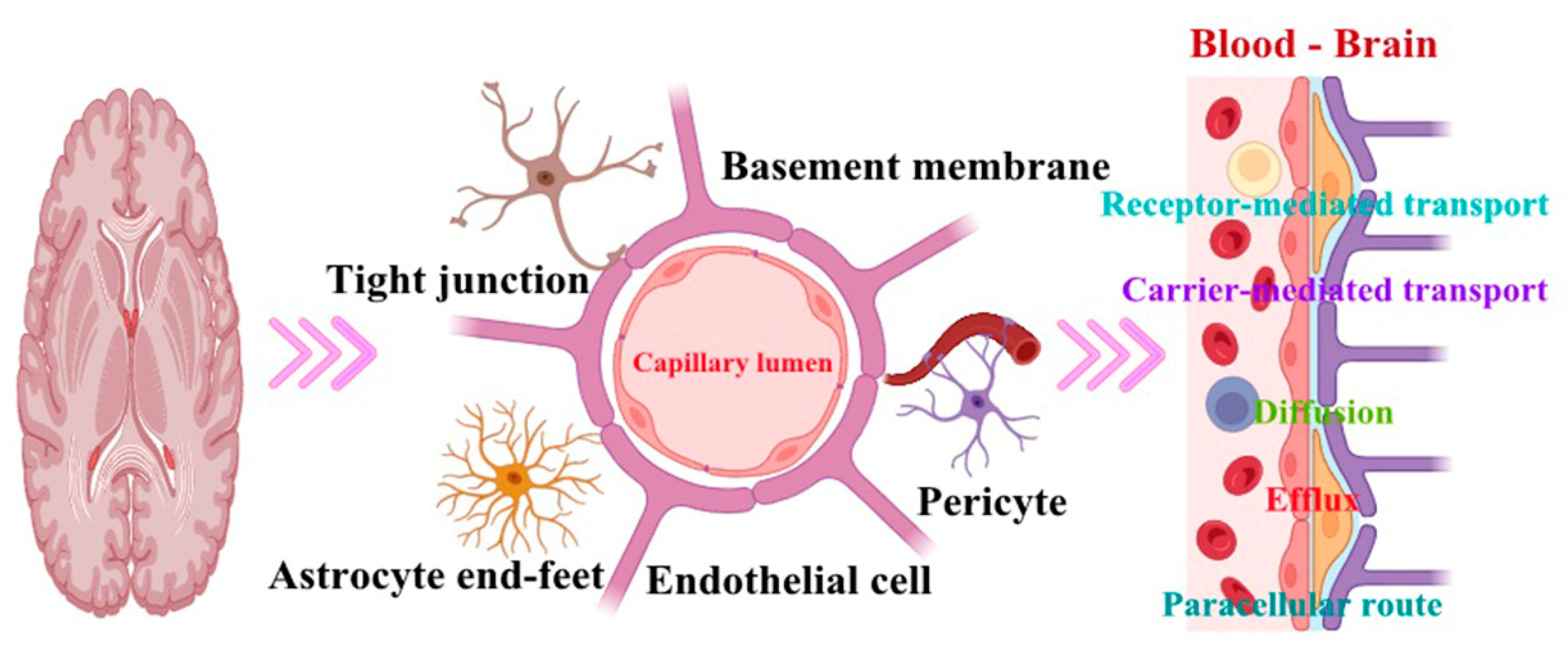 Pharmaceutics 16 00674 g003