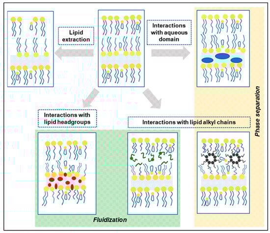 Pharmaceutics 16 00675 g001