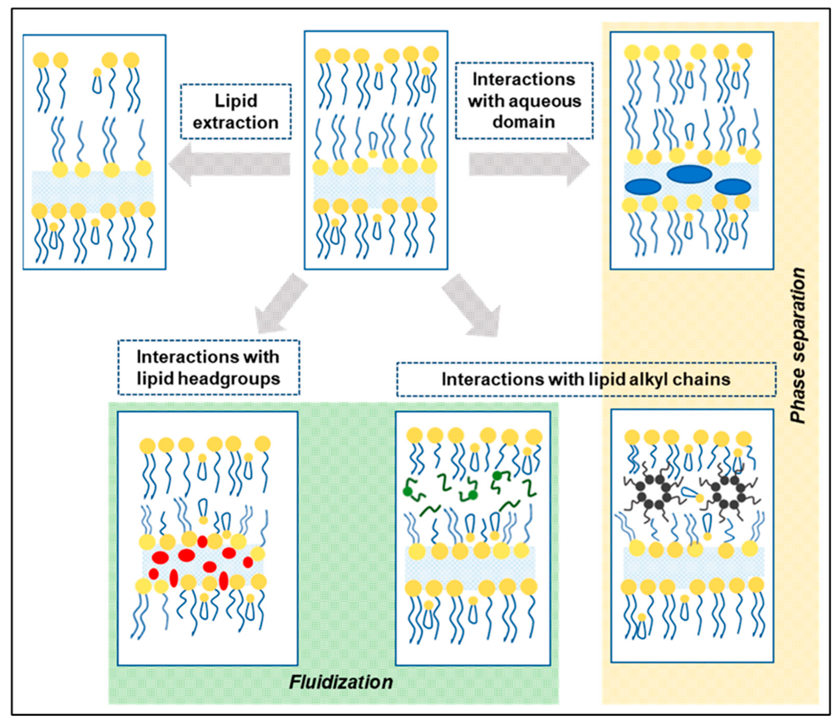 Pharmaceutics 16 00675 g001