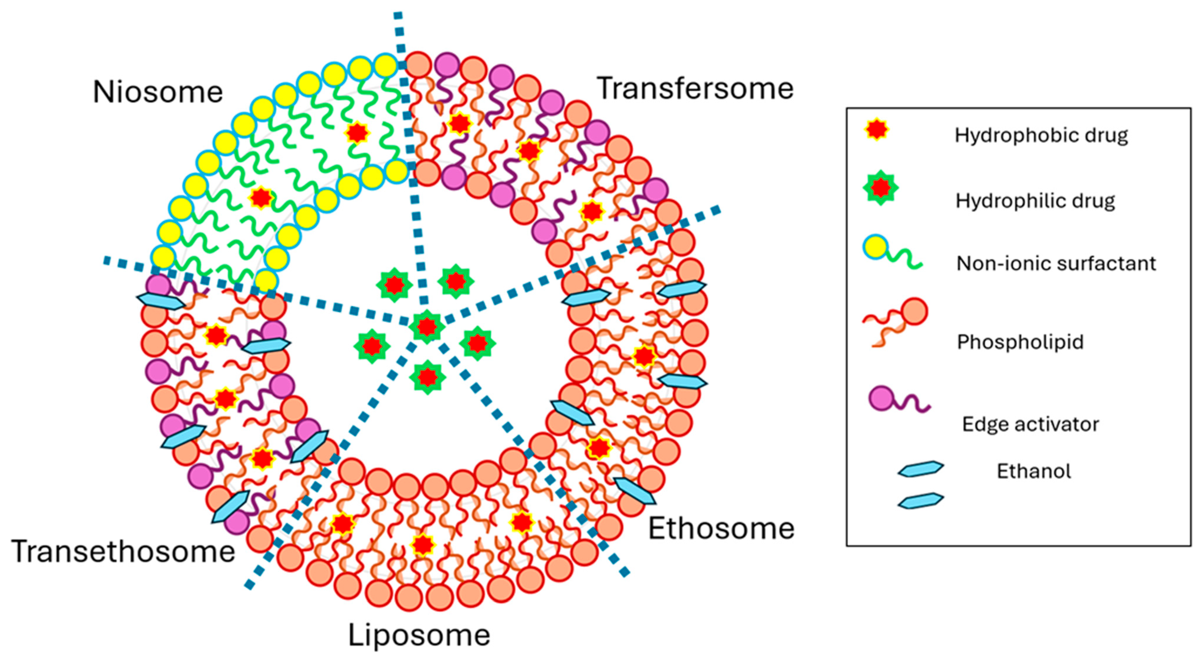 Pharmaceutics 16 00675 g002