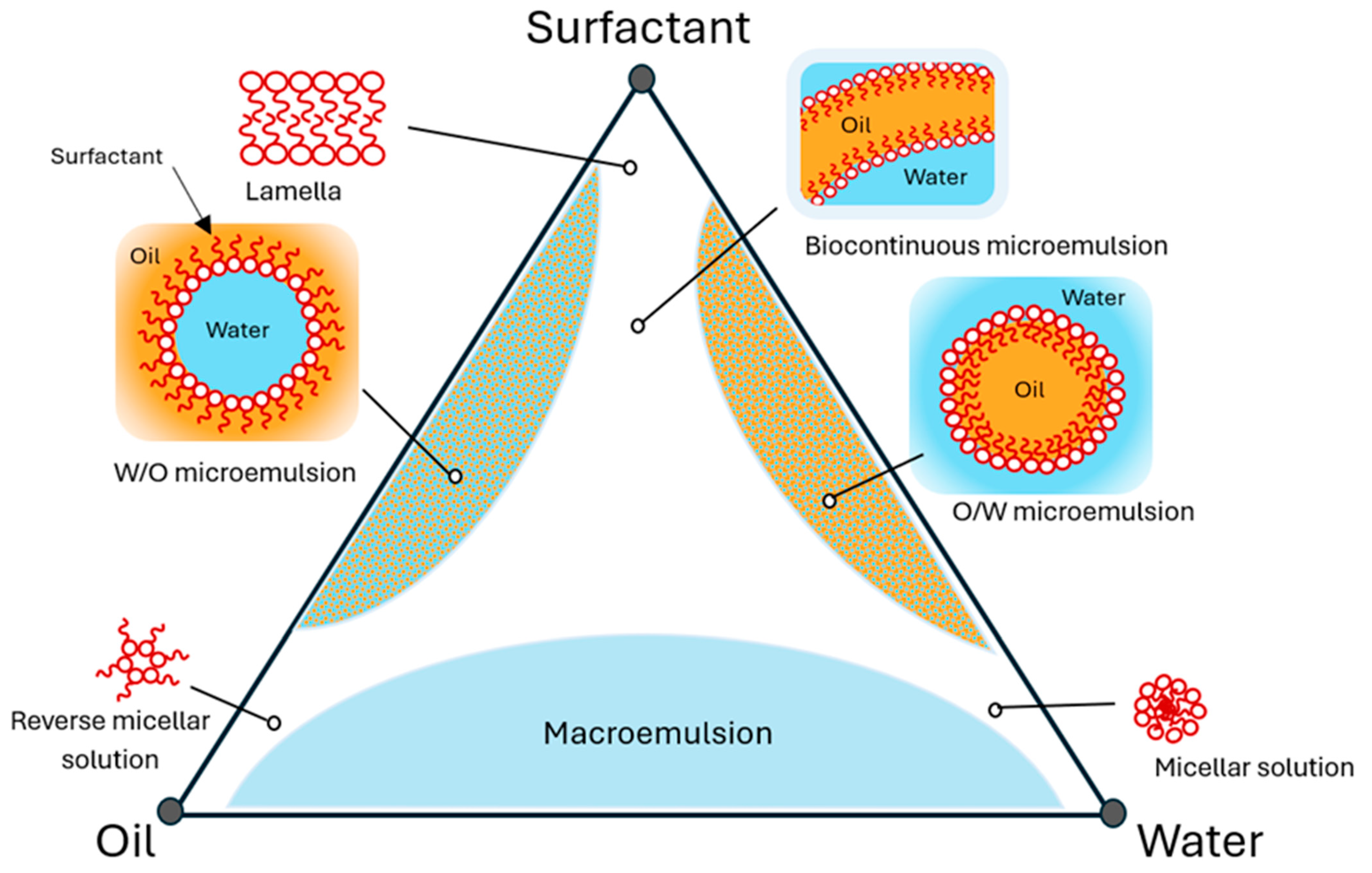 Pharmaceutics 16 00675 g004
