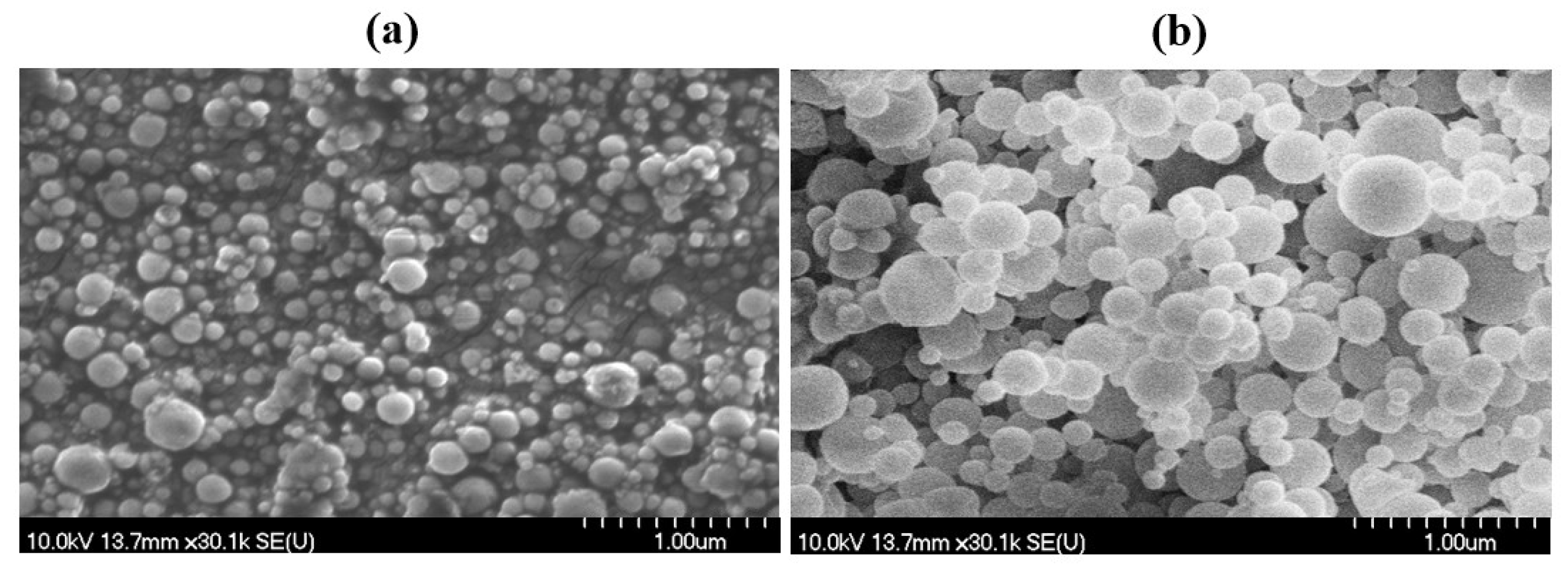 Pharmaceutics 16 00691 g003 Pharmaceutics 16 00691 g003