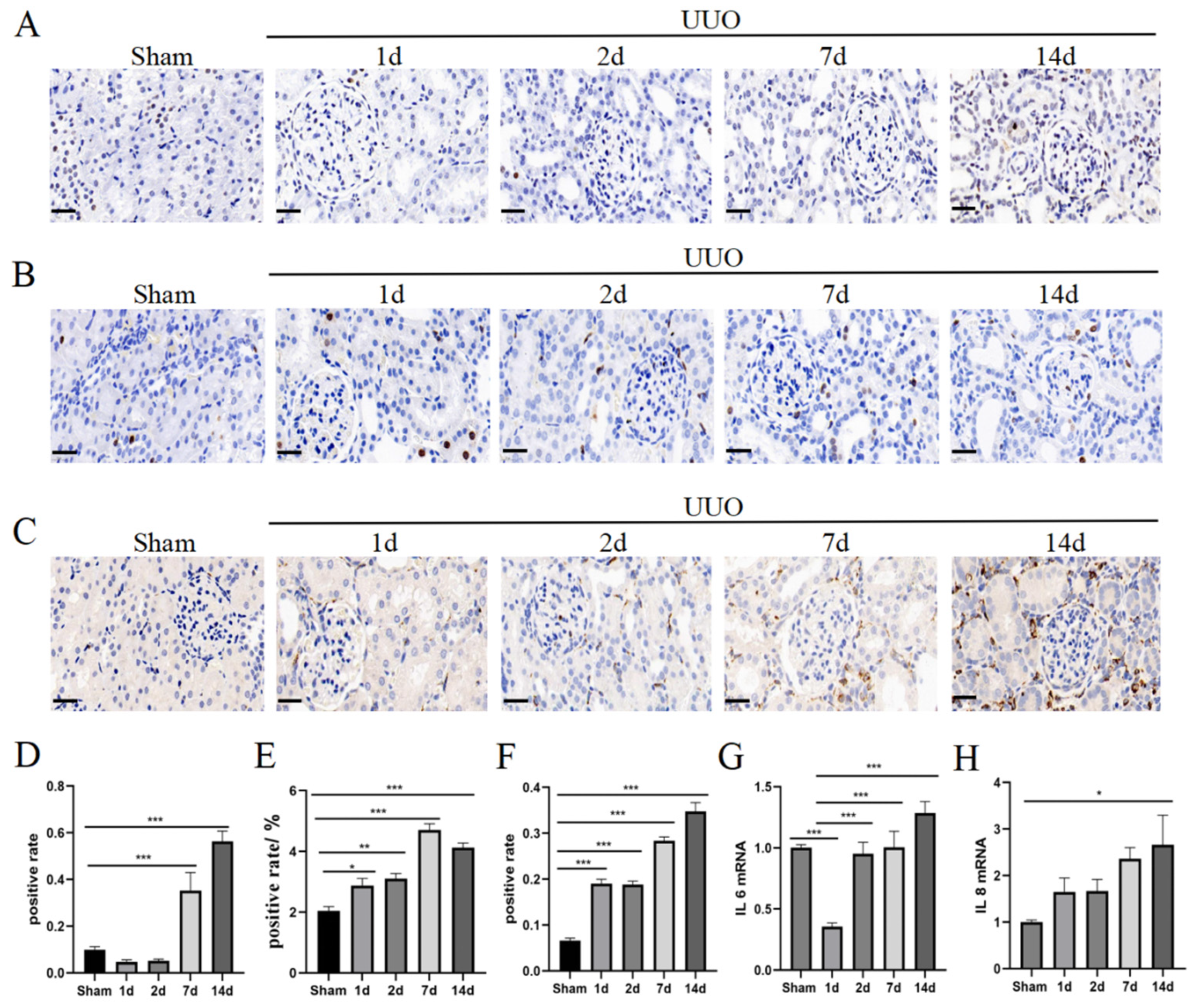 Pharmaceutics 16 00695 g003