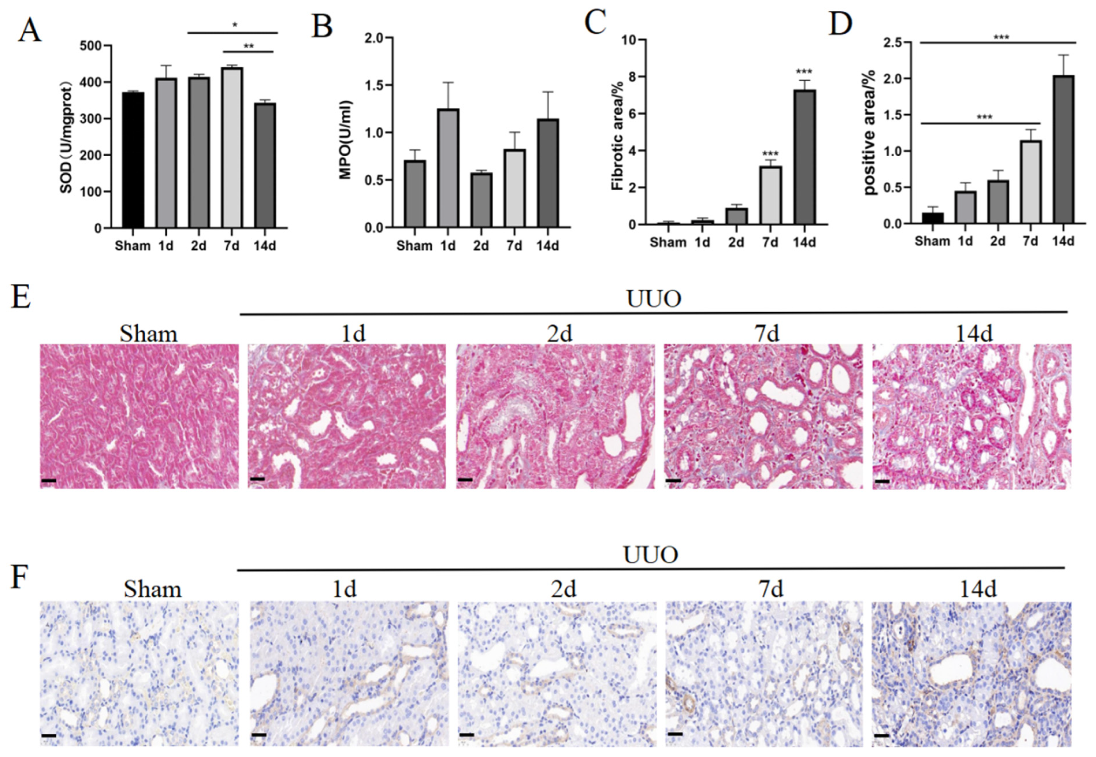 Pharmaceutics 16 00695 g004
