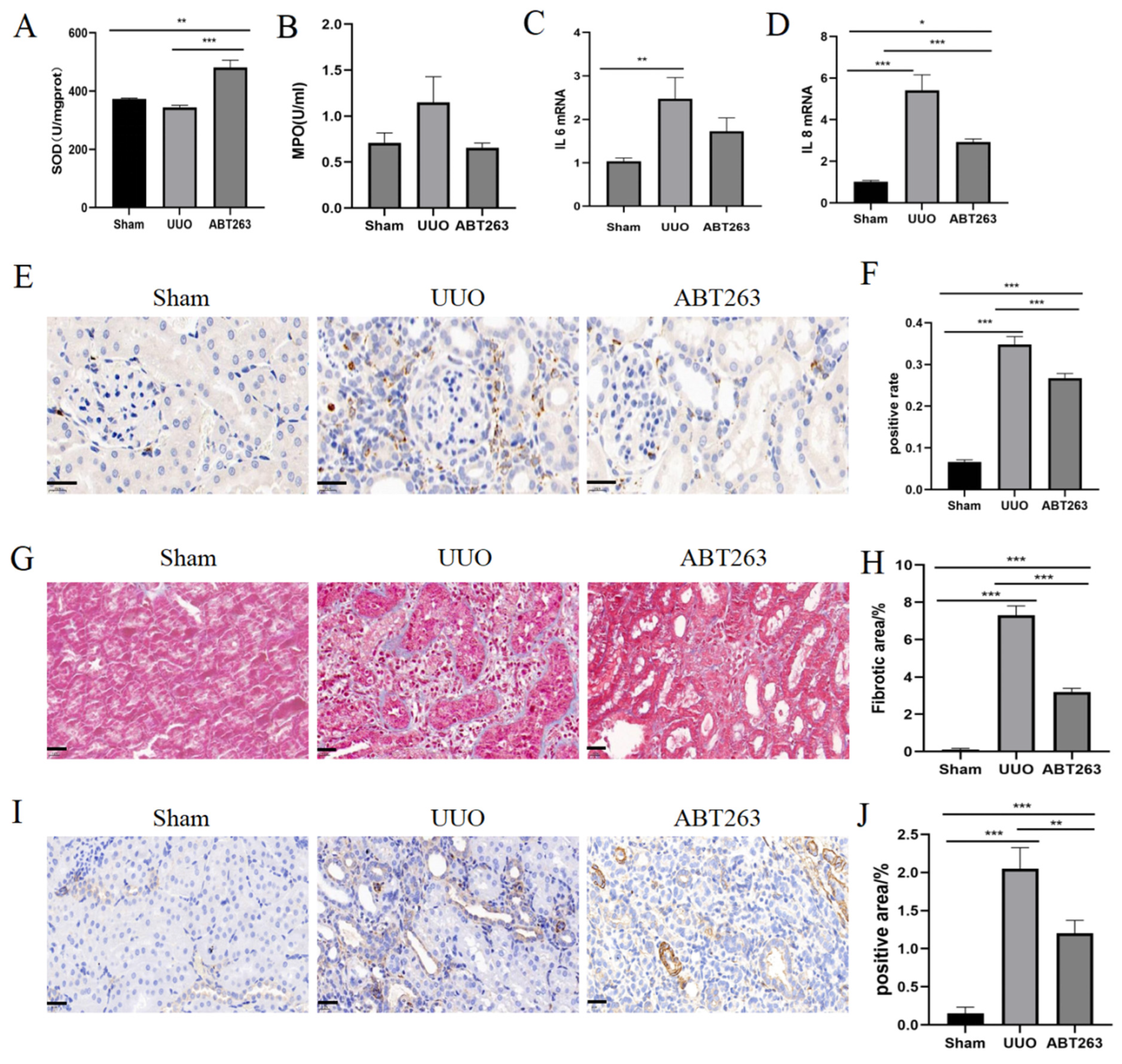 Pharmaceutics 16 00695 g007