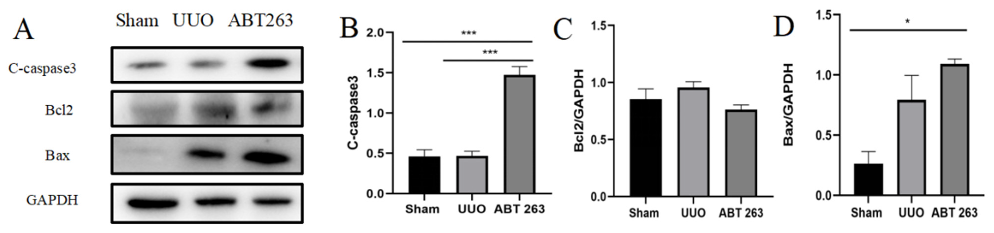 Pharmaceutics 16 00695 g008