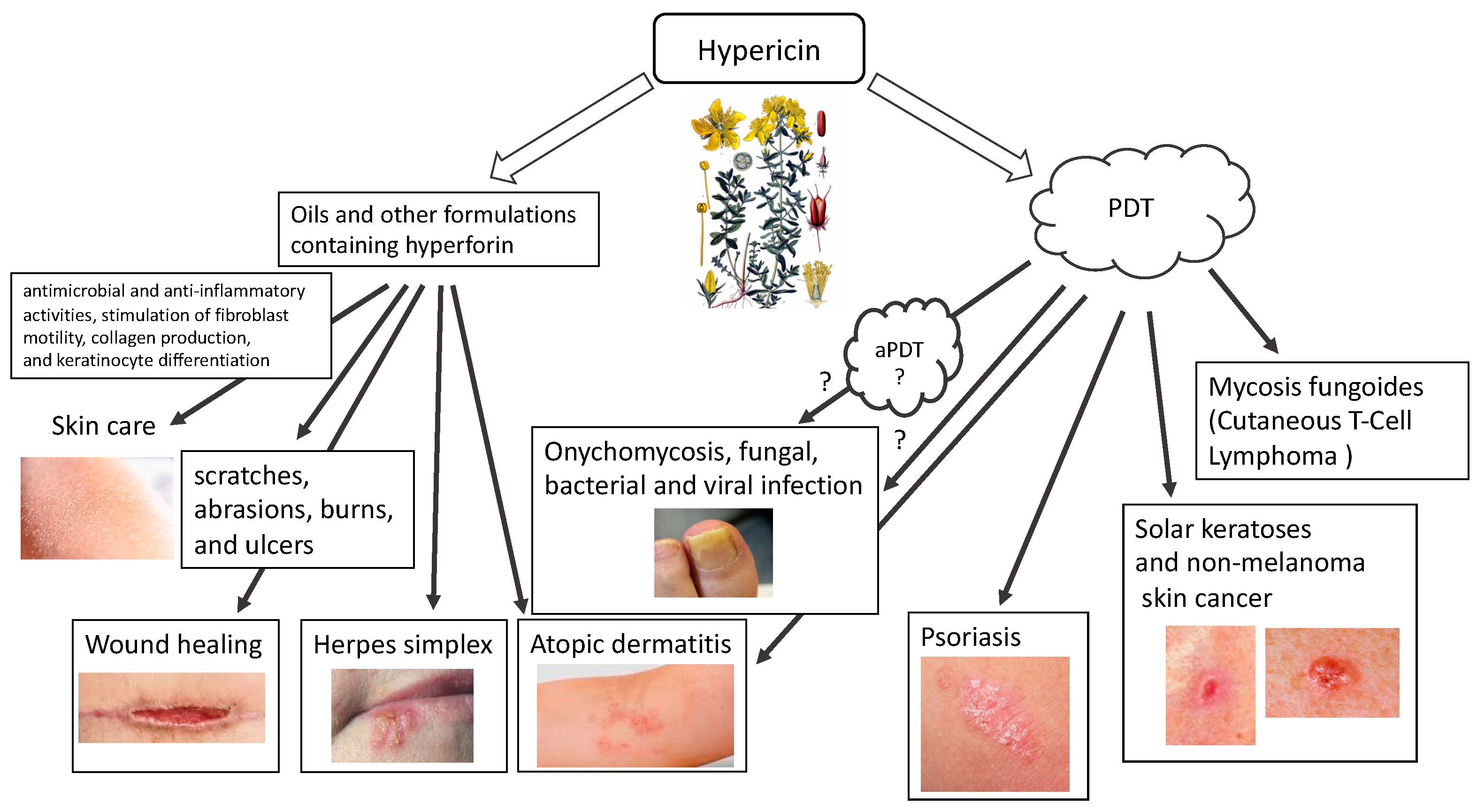 Pharmaceutics 16 00696 g001