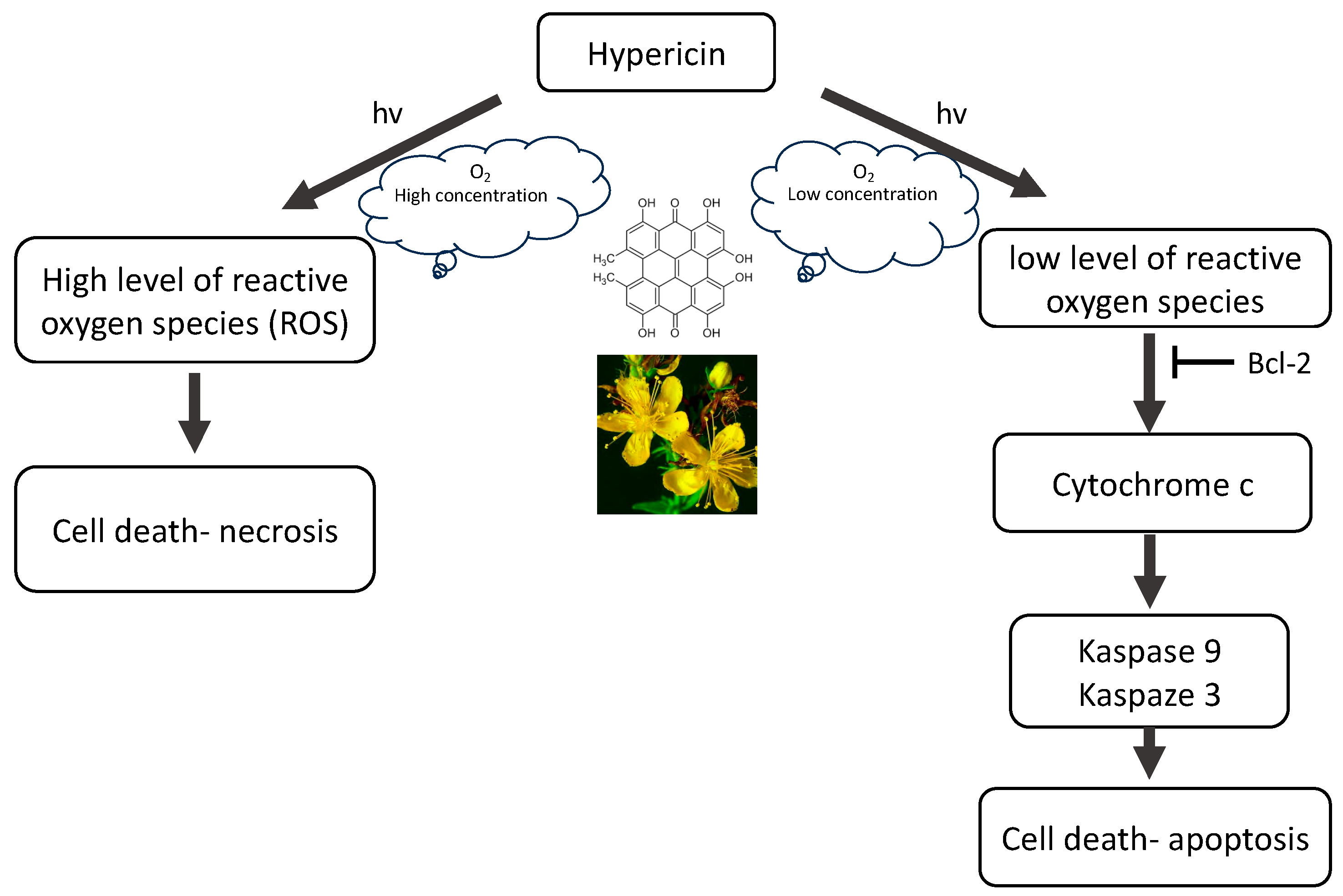 Pharmaceutics 16 00696 g002