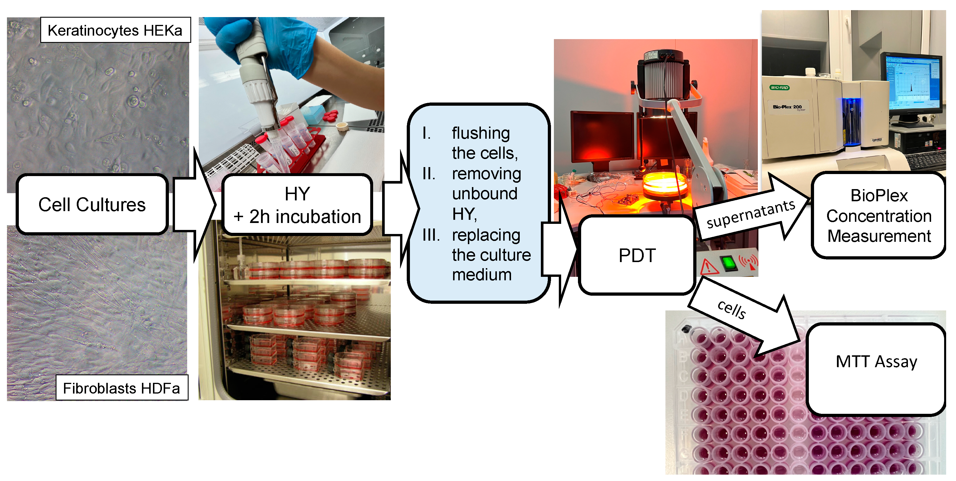 Pharmaceutics 16 00696 g003