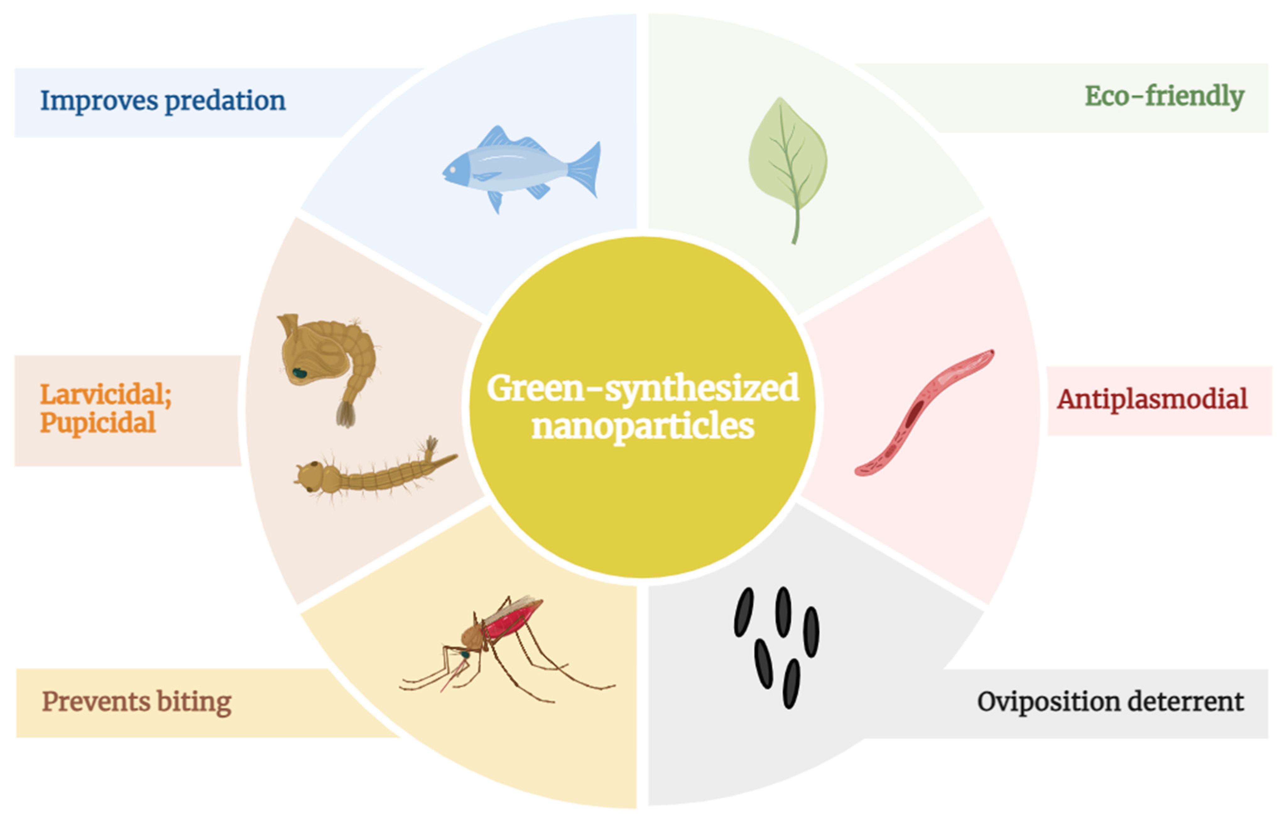Pharmaceutics 16 00699 g003
