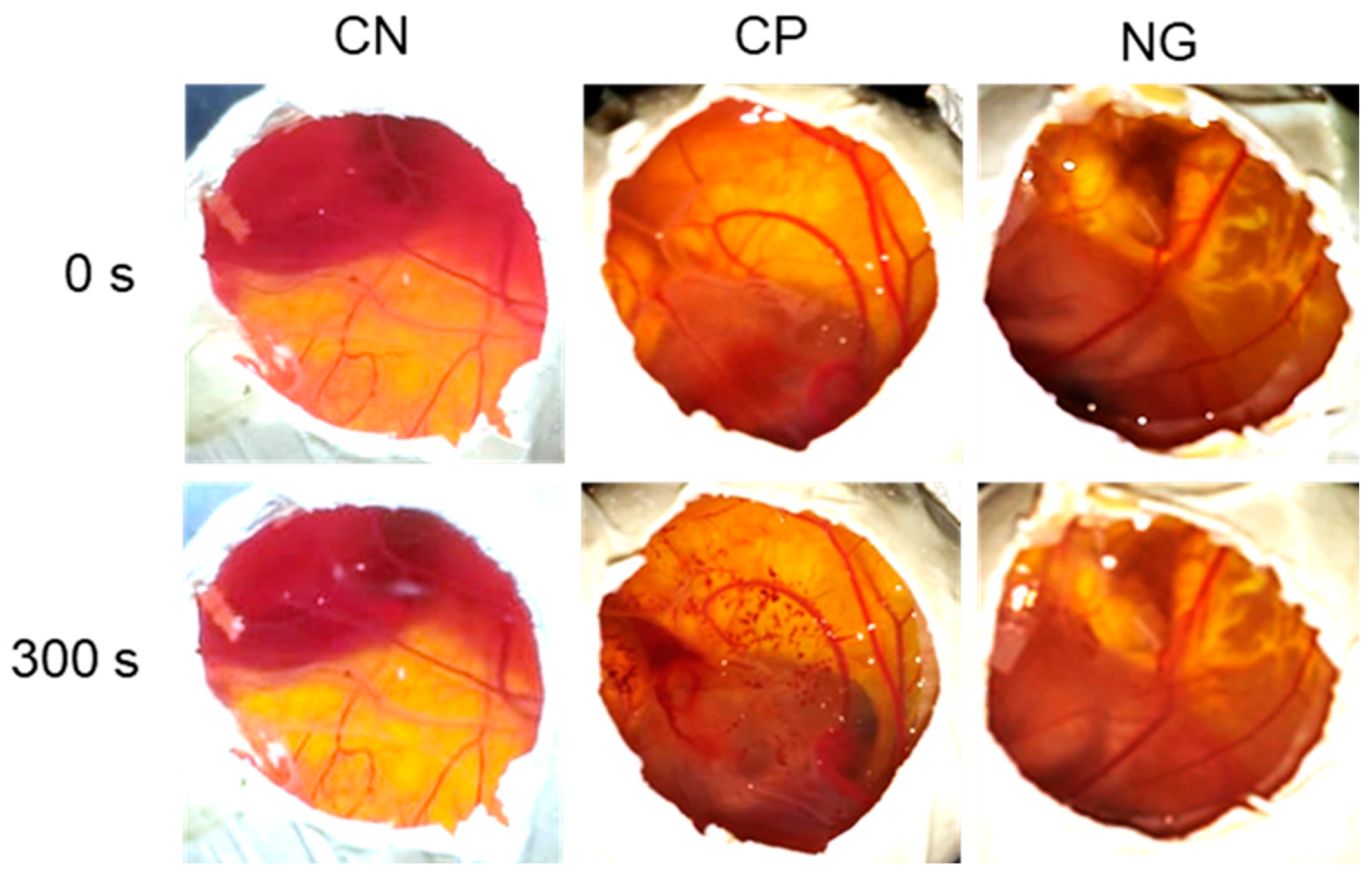 Pharmaceutics 16 00700 g008