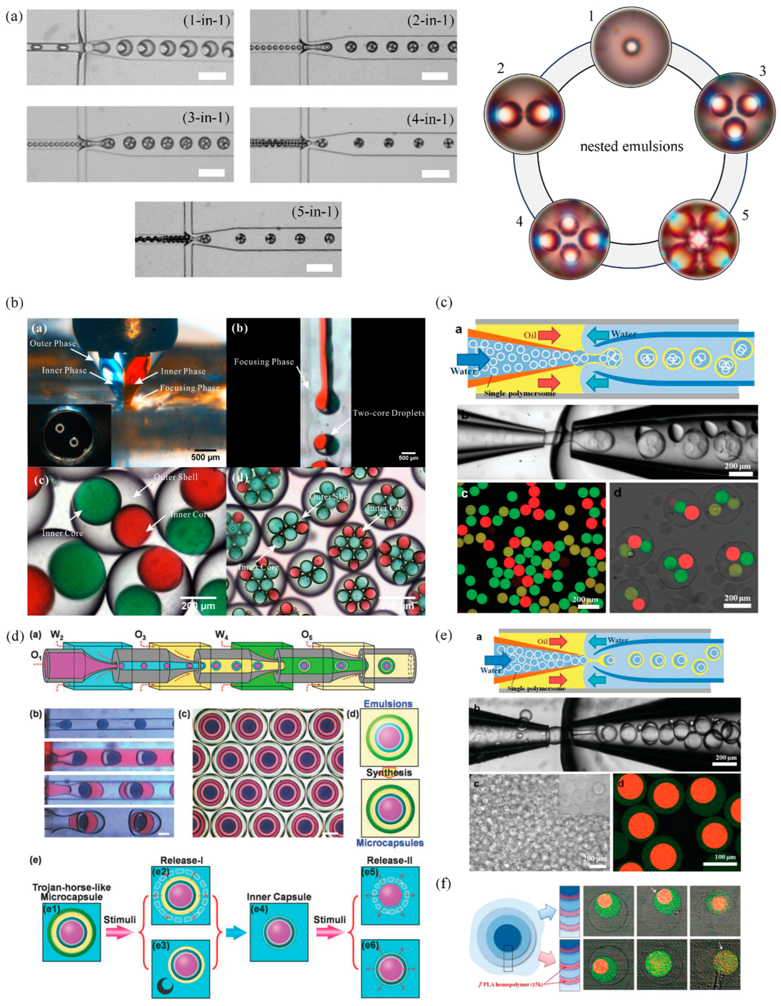 Pharmaceutics 16 00707 g004 Pharmaceutics 16 00707 g004