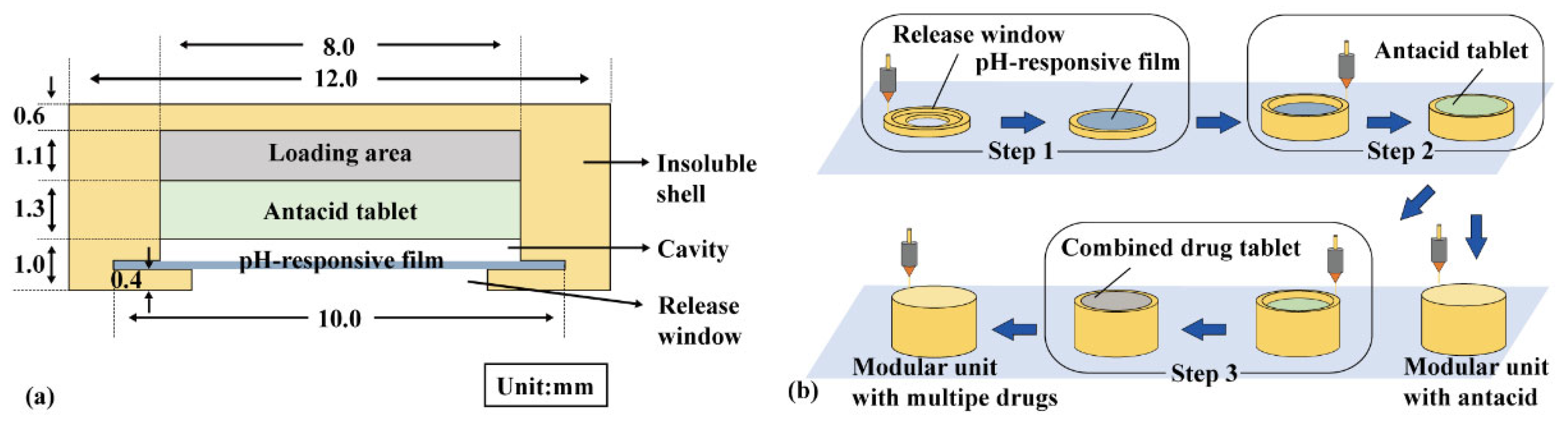 Pharmaceutics 16 00717 g001
