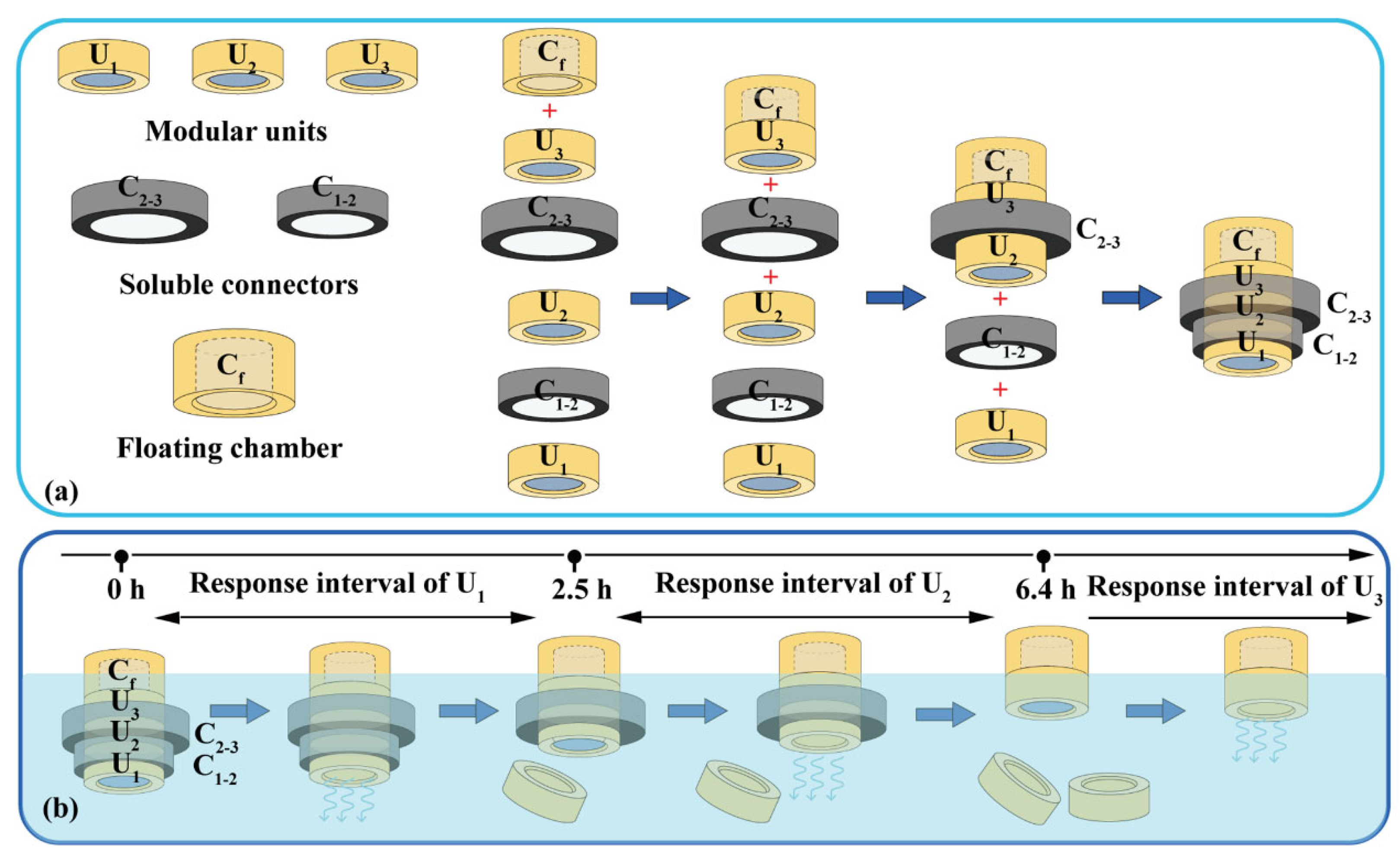 Pharmaceutics 16 00717 g002
