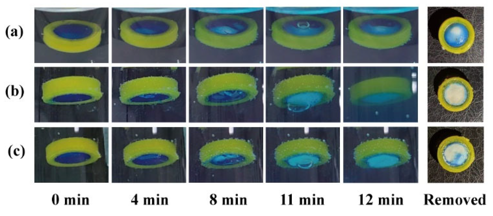 Pharmaceutics 16 00717 g004