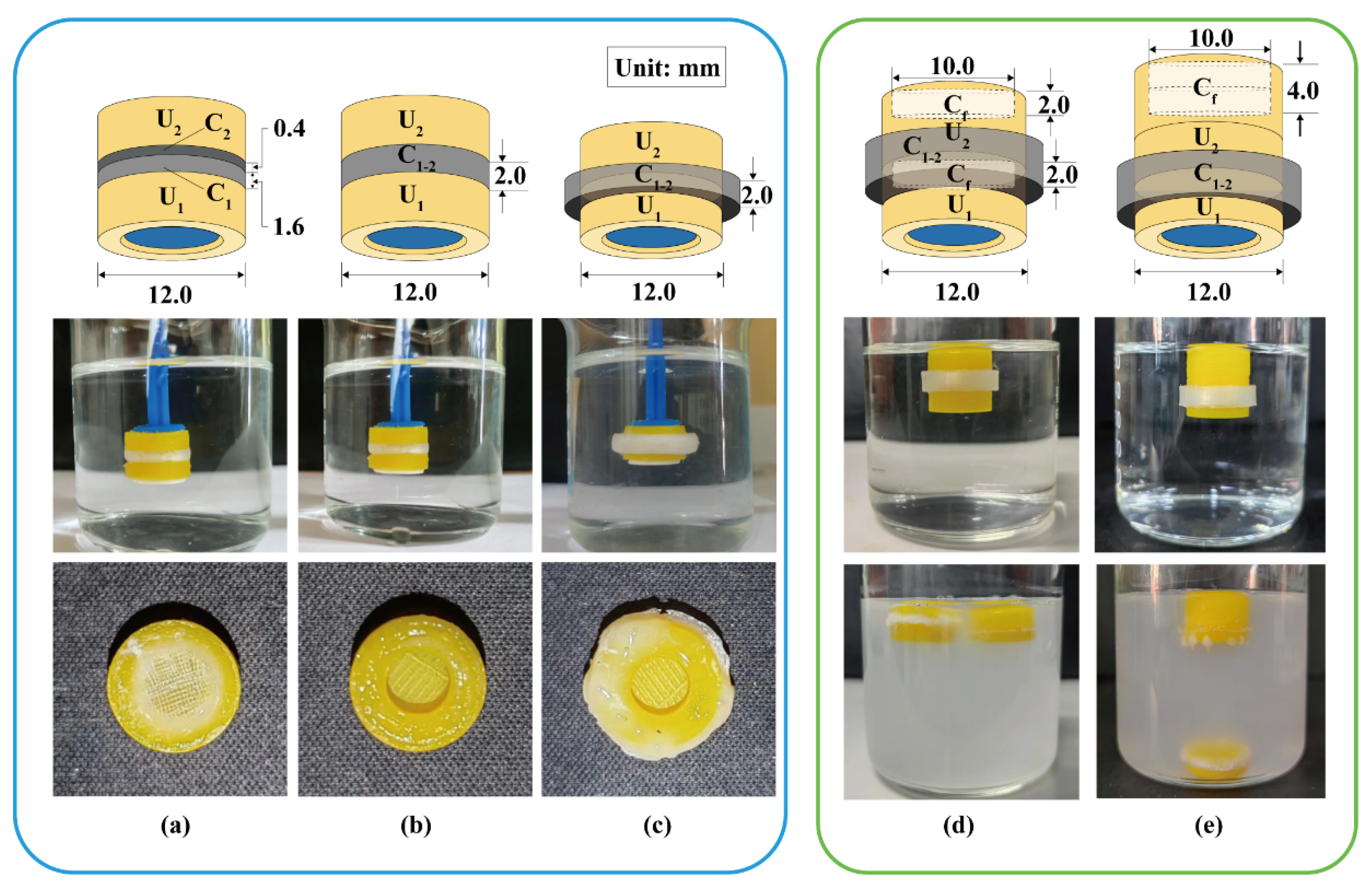 Pharmaceutics 16 00717 g005