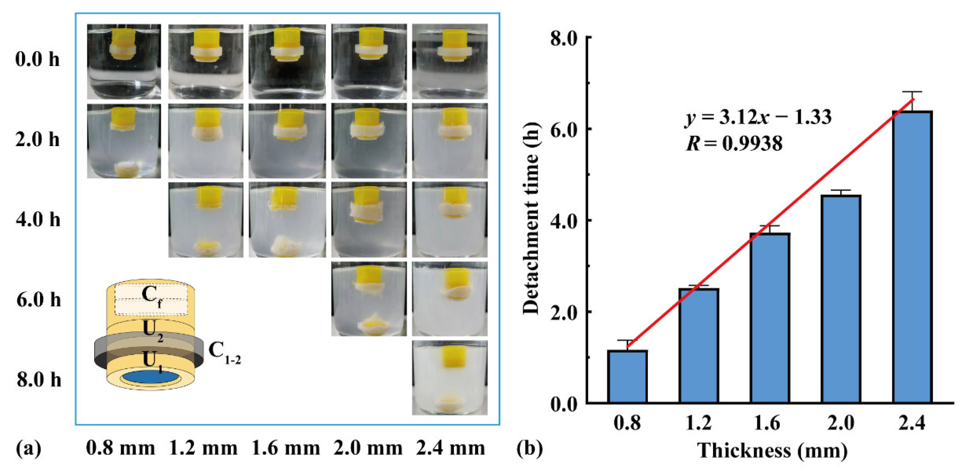 Pharmaceutics 16 00717 g006
