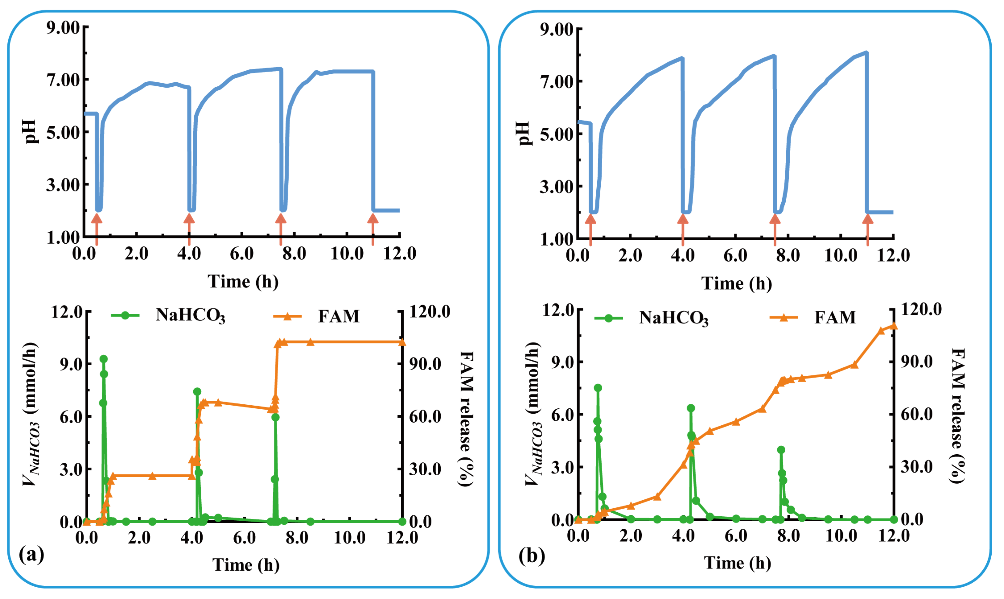 Pharmaceutics 16 00717 g008