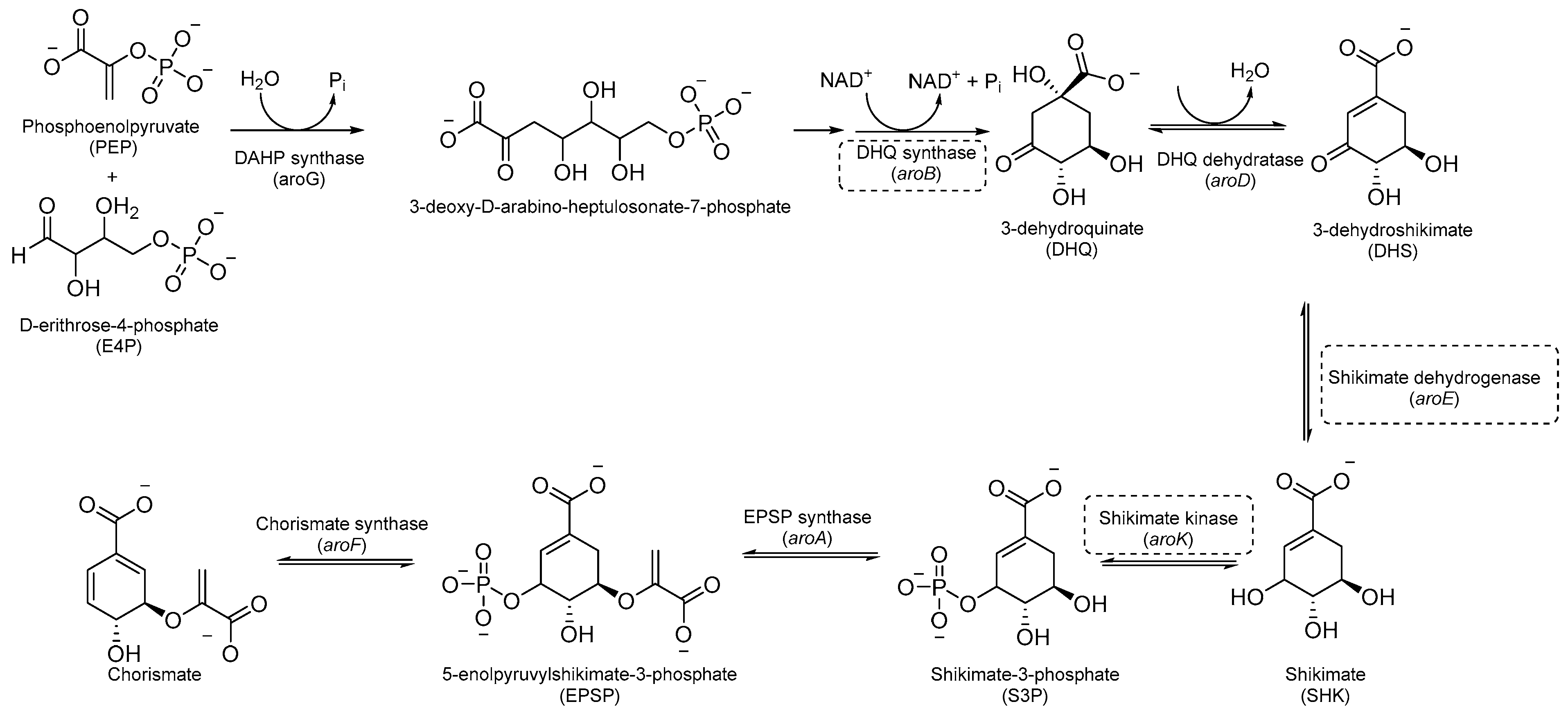 Pharmaceutics 16 00725 g001