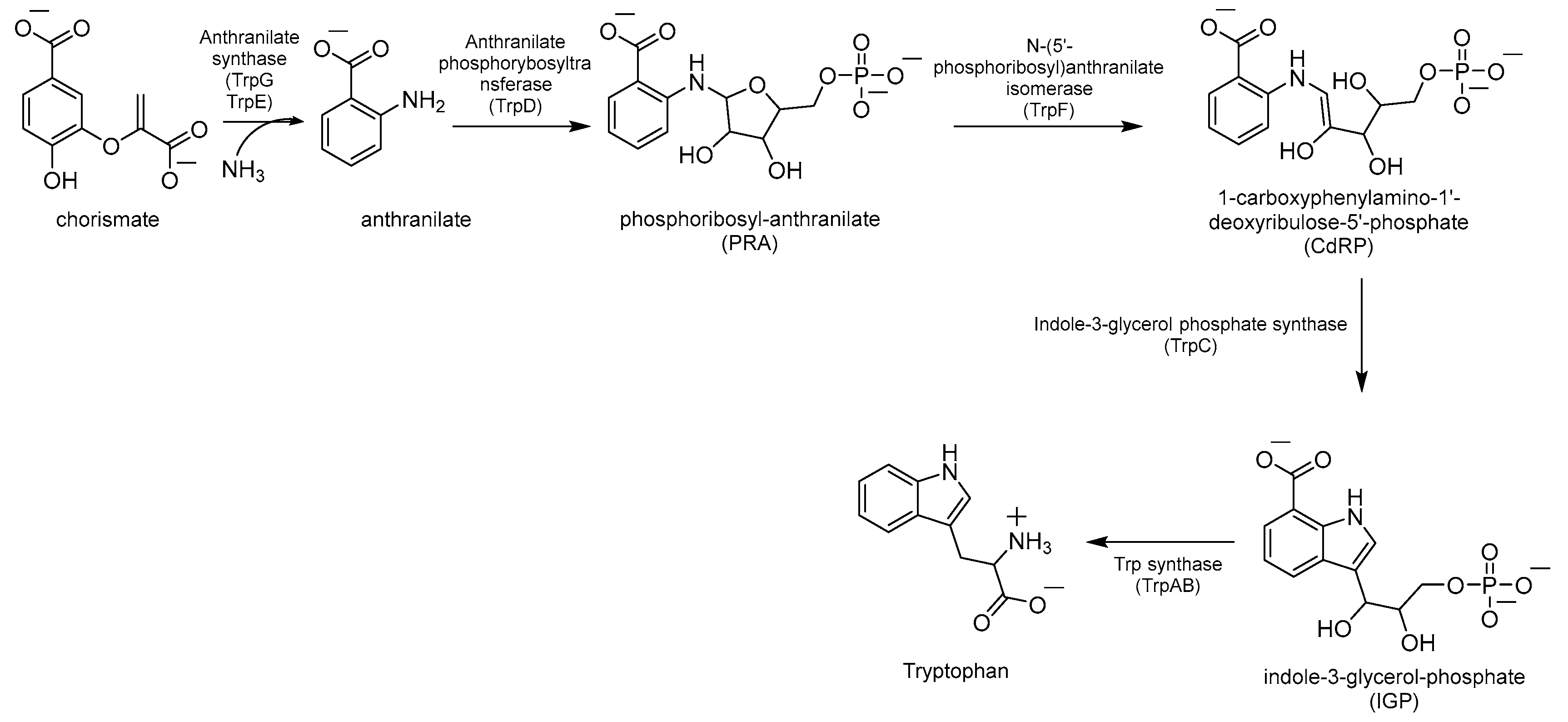 Pharmaceutics 16 00725 g003