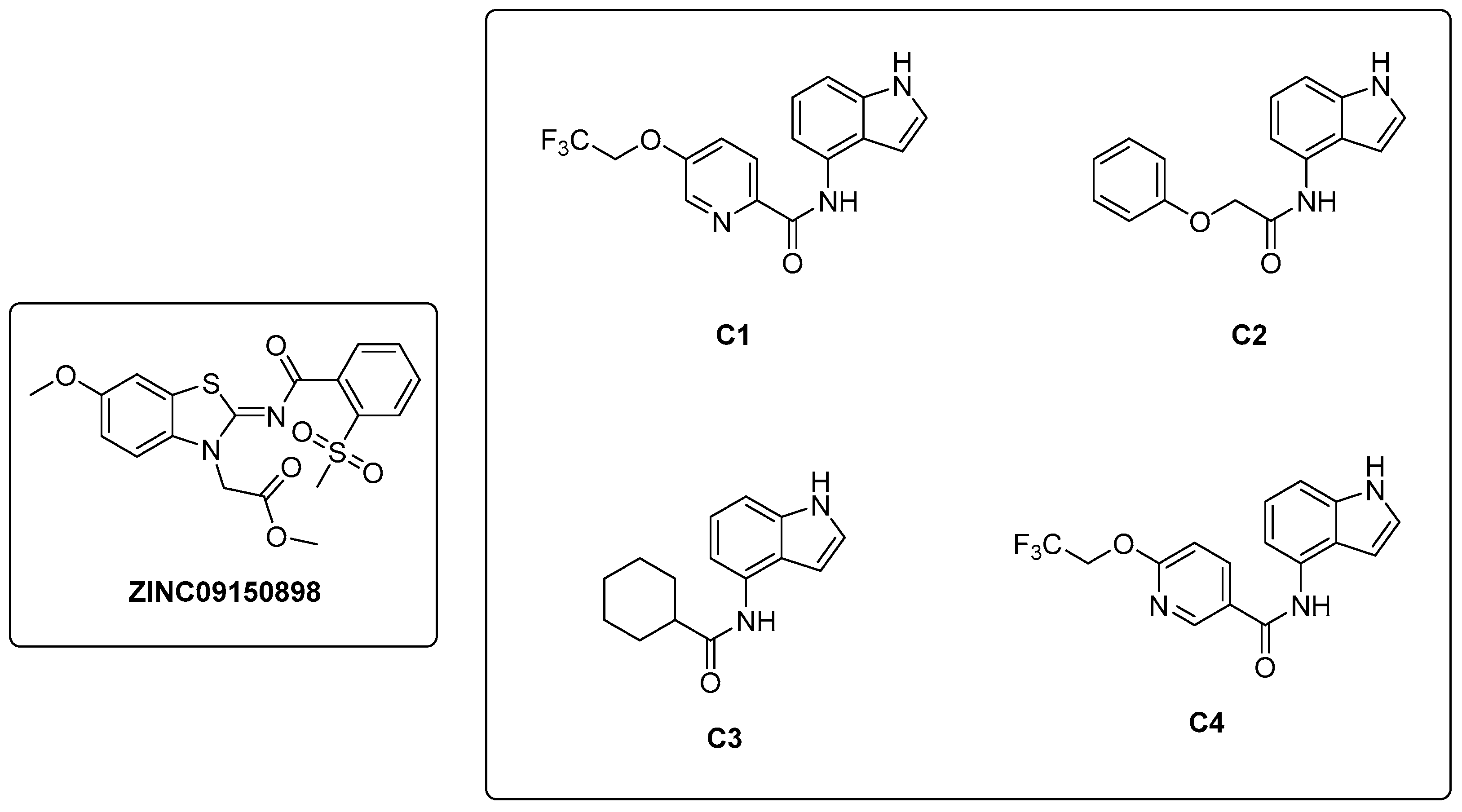 Pharmaceutics 16 00725 g006
