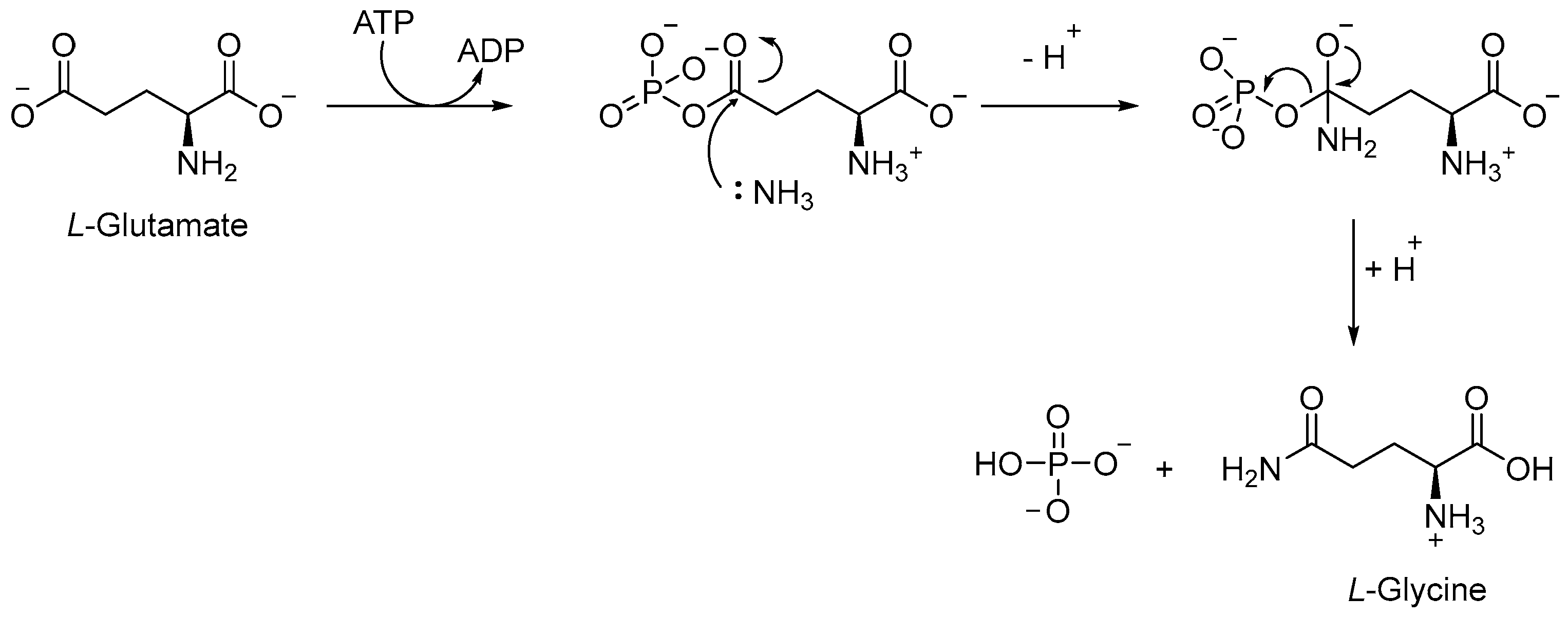 Pharmaceutics 16 00725 g013