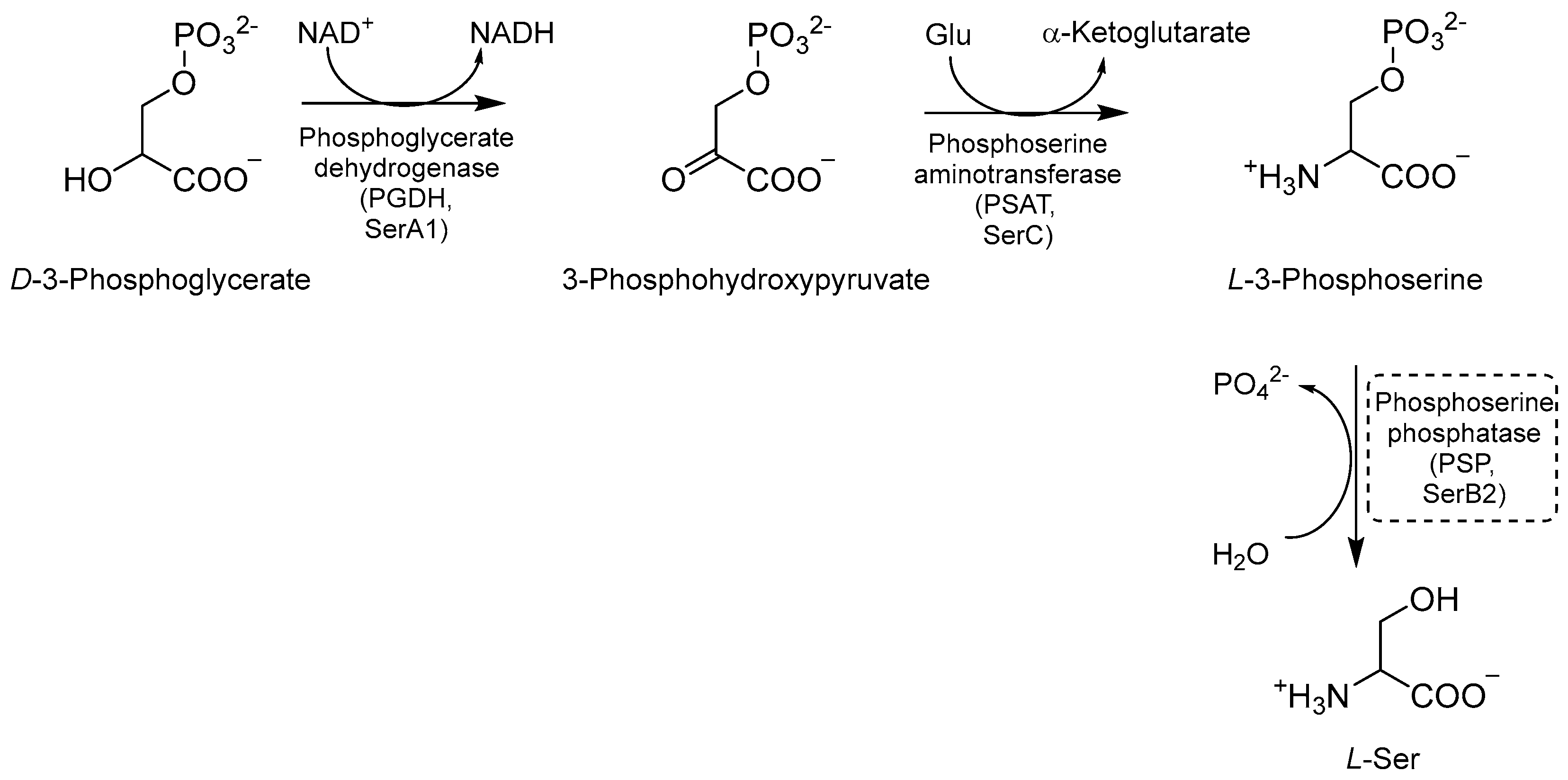Pharmaceutics 16 00725 g017