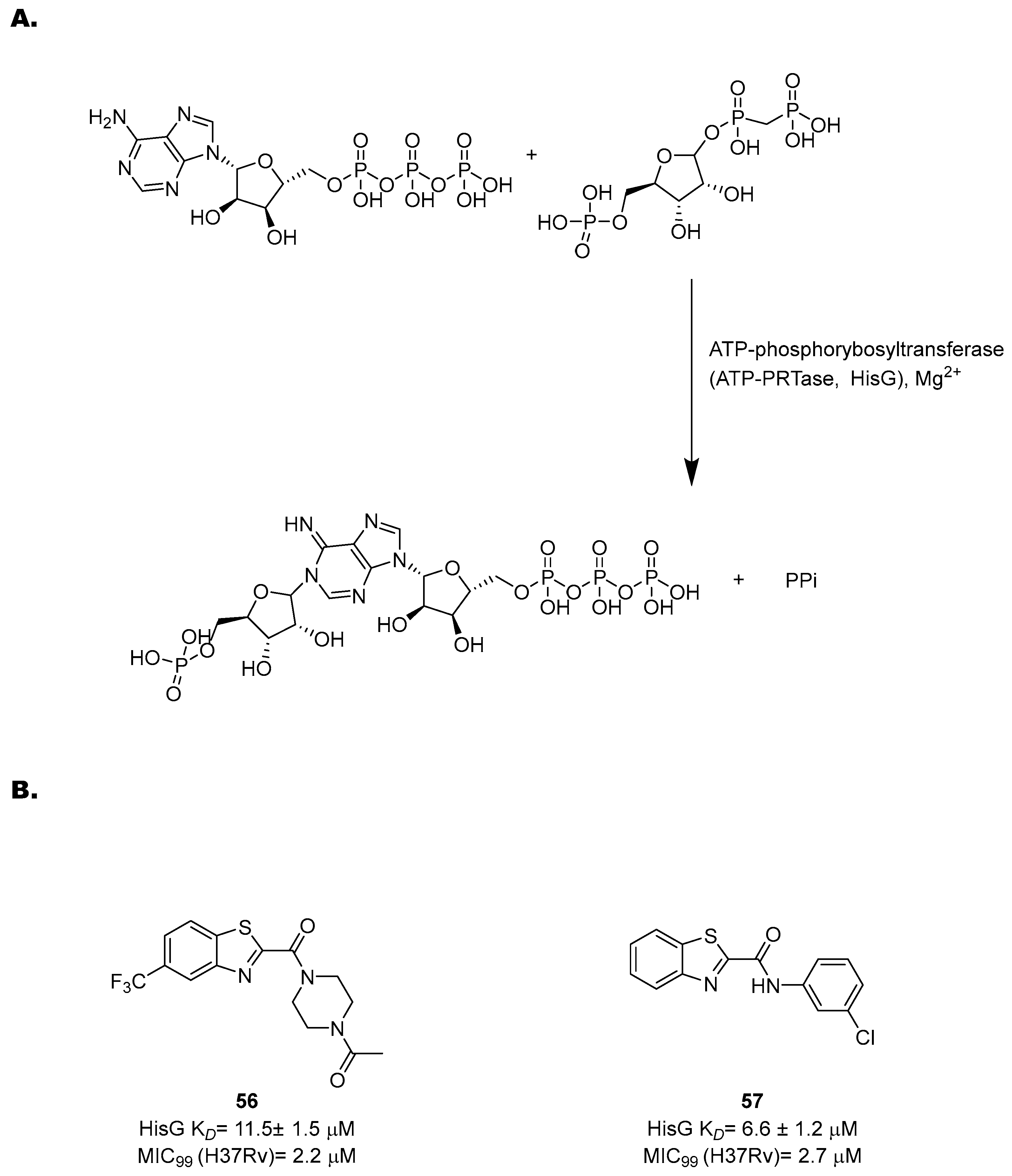 Pharmaceutics 16 00725 g023
