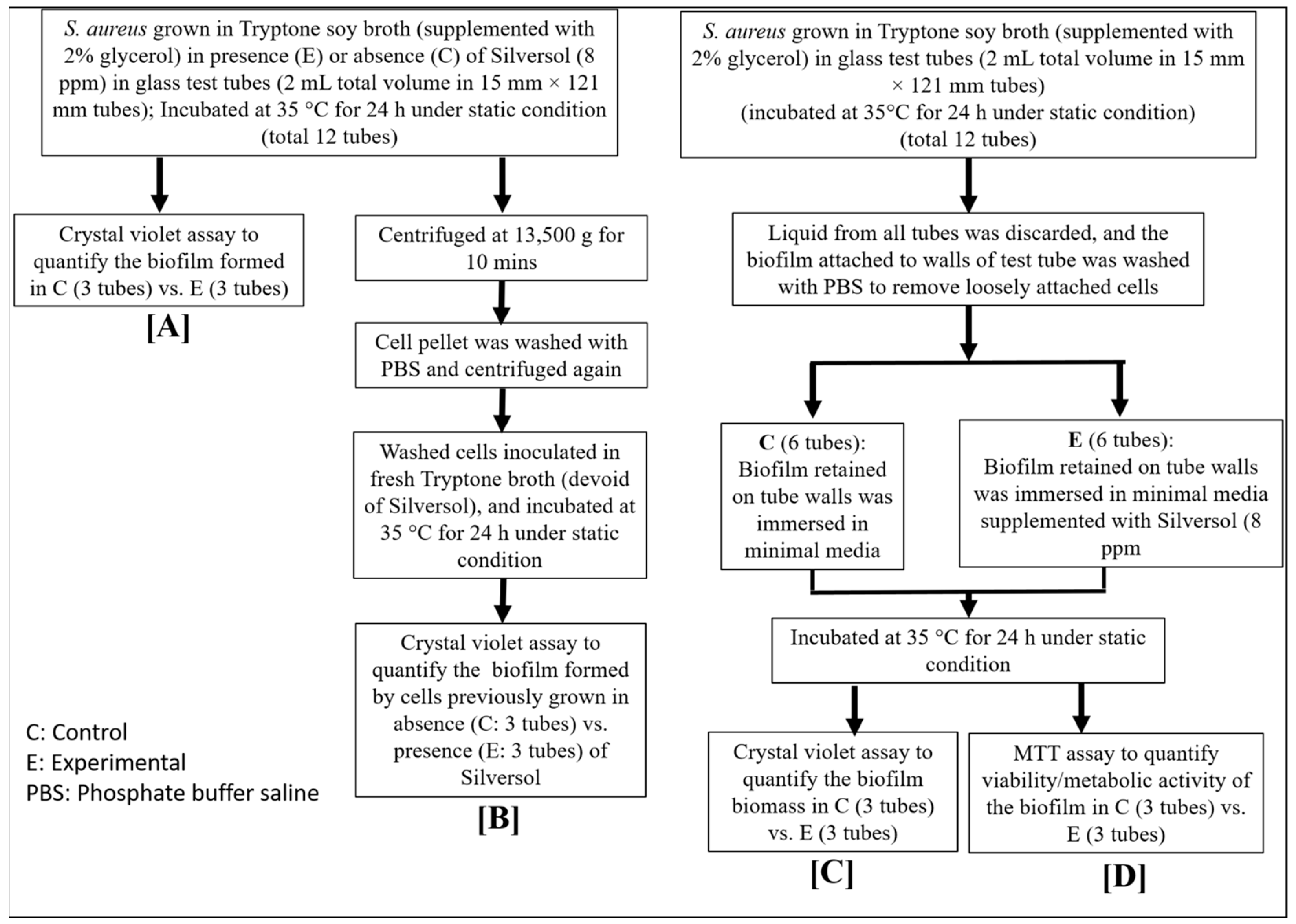 Pharmaceutics 16 00726 g001