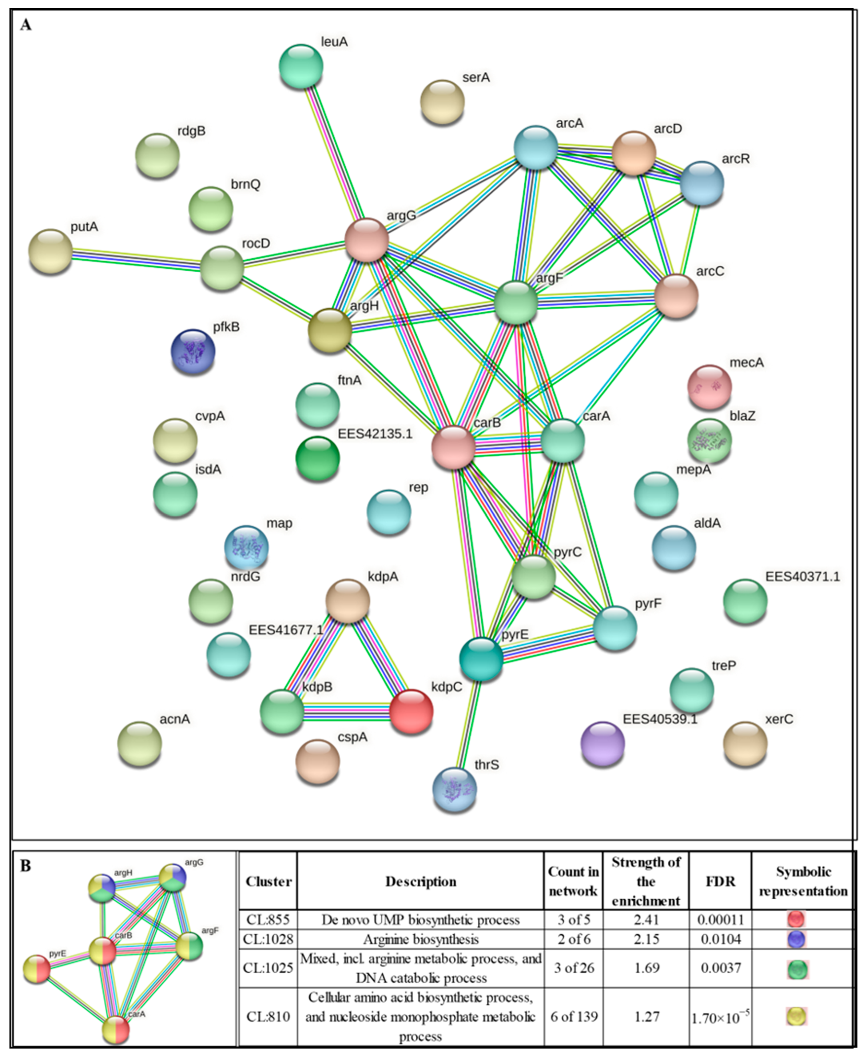 Pharmaceutics 16 00726 g005