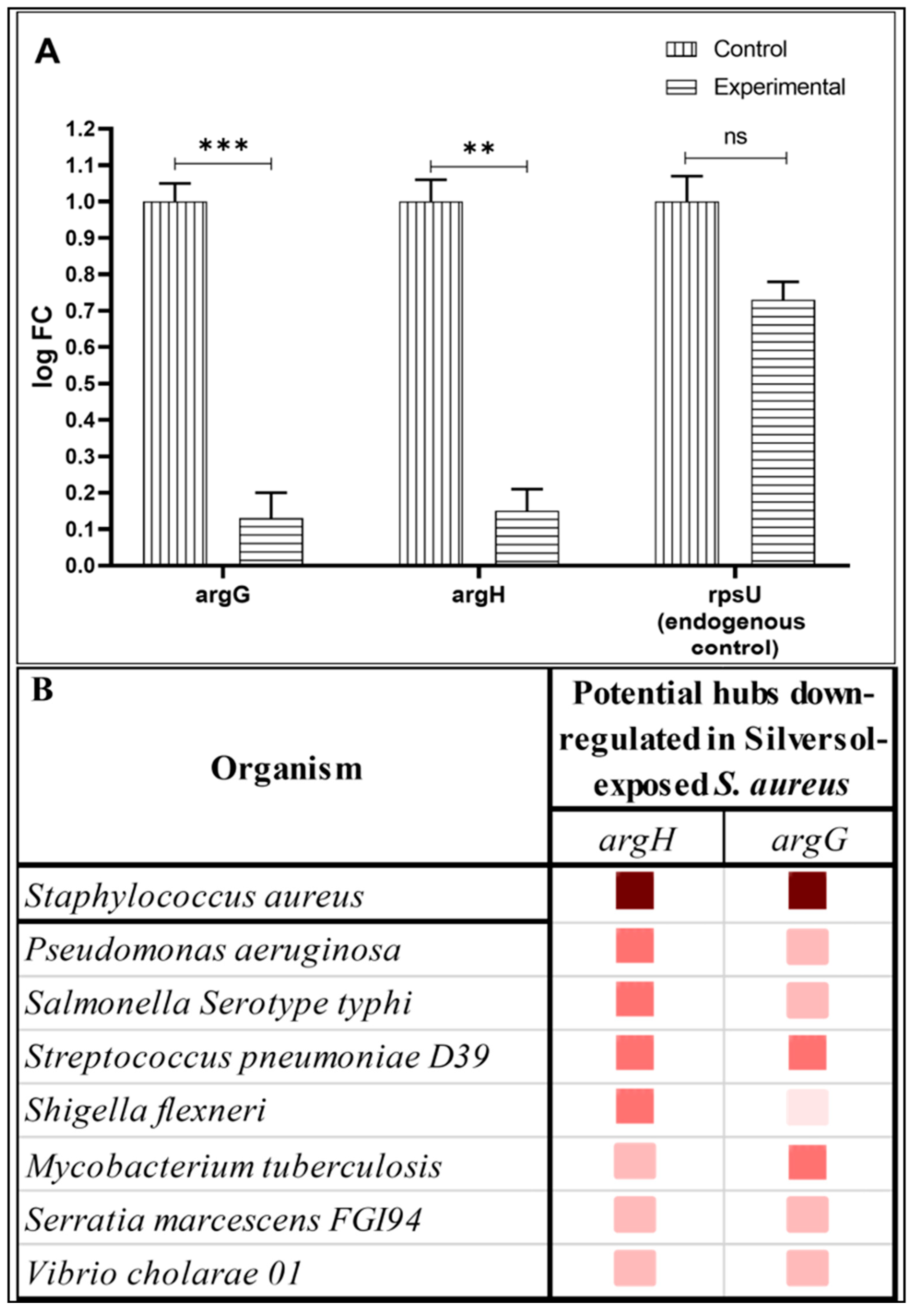 Pharmaceutics 16 00726 g006