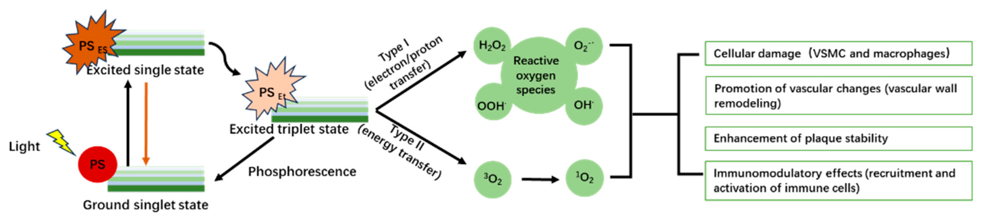Pharmaceutics 16 00729 g002
