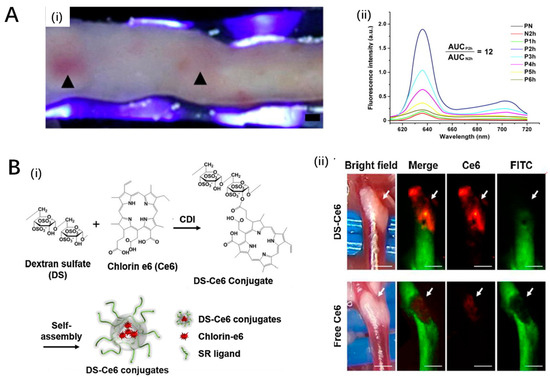 Pharmaceutics 16 00729 g004