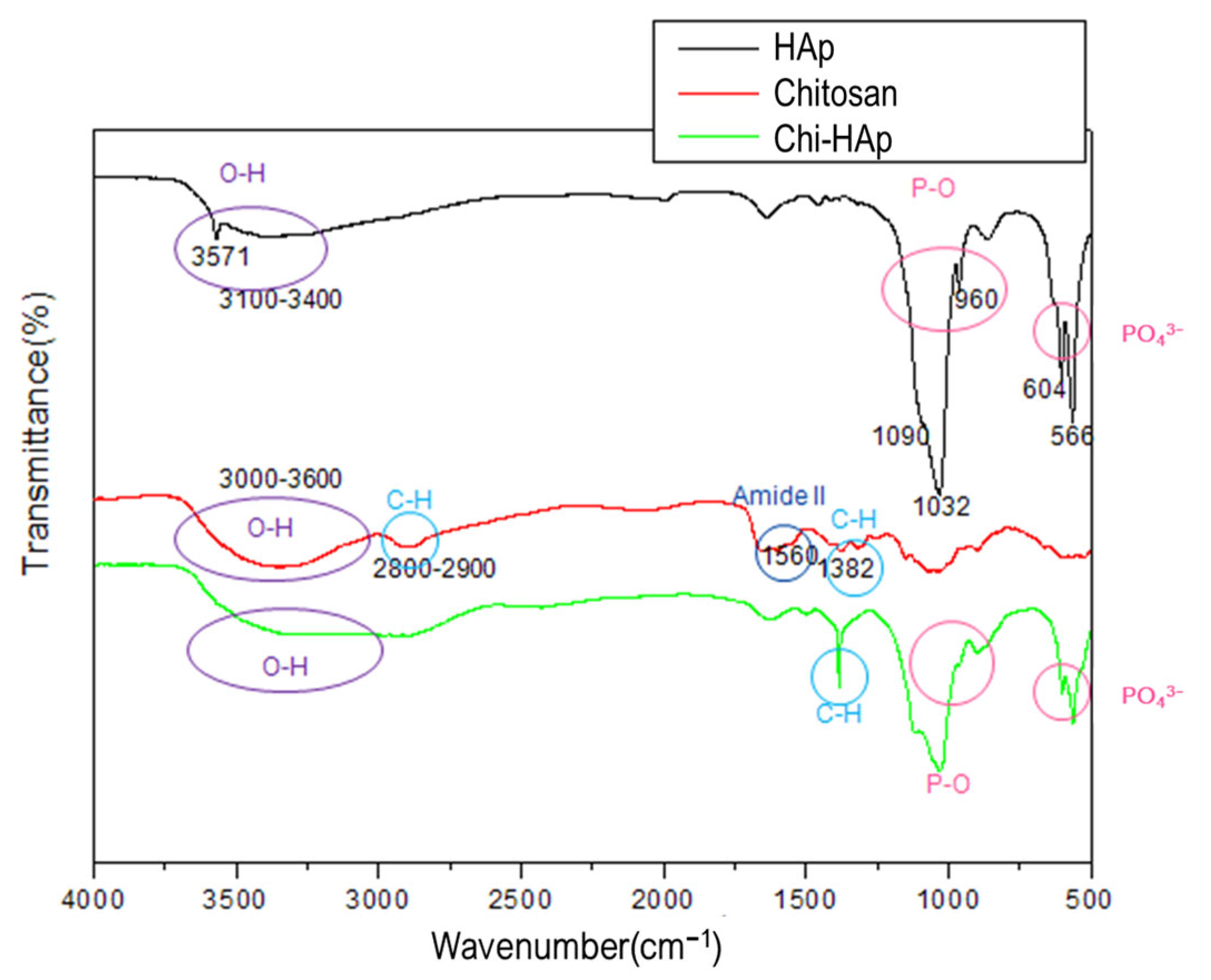 Pharmaceutics 16 00730 g012