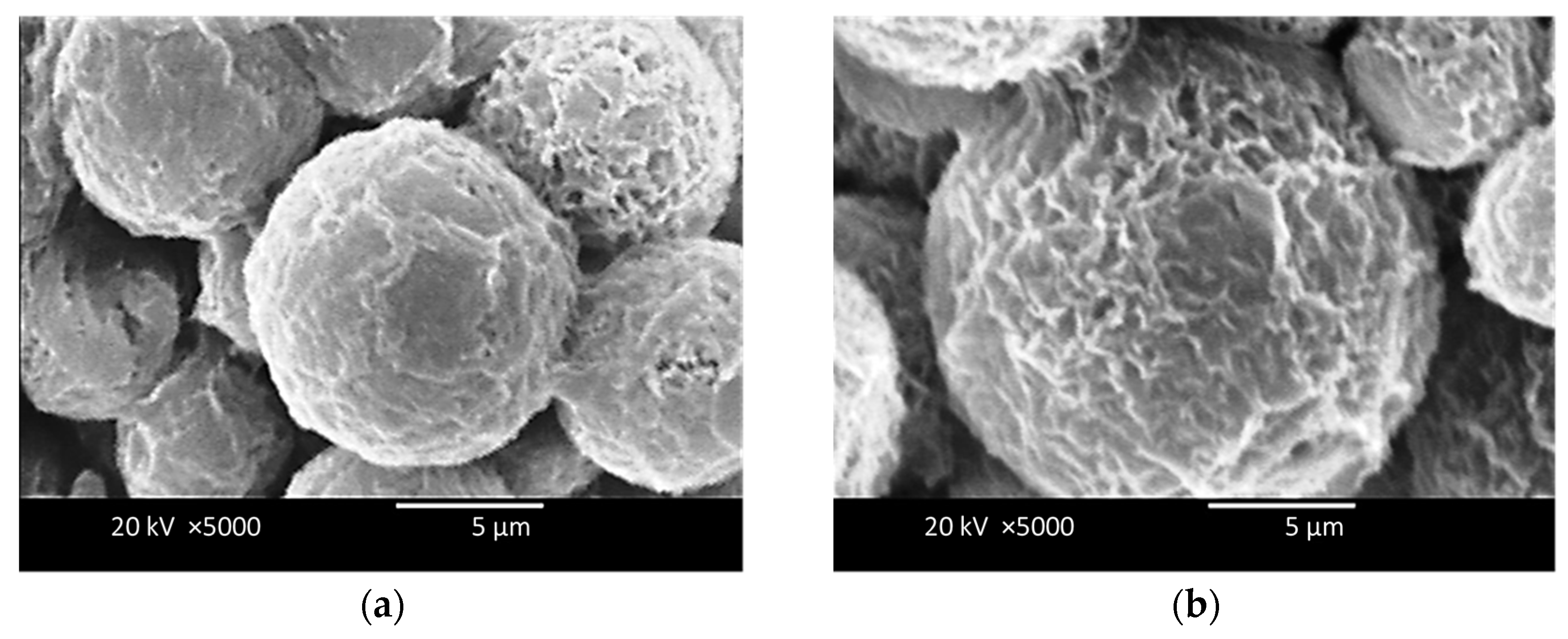 Pharmaceutics 16 00730 g014a