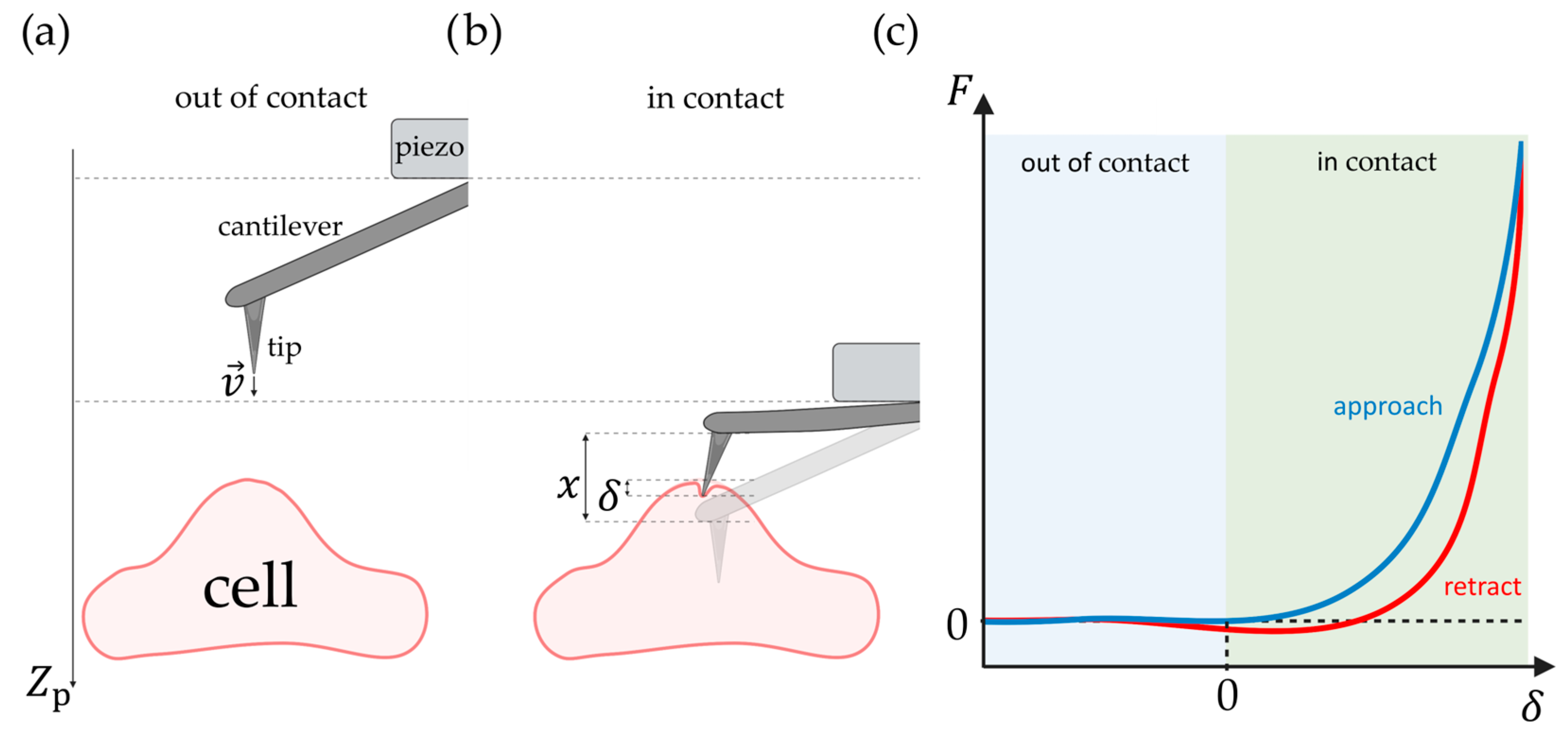 Pharmaceutics 16 00733 g002