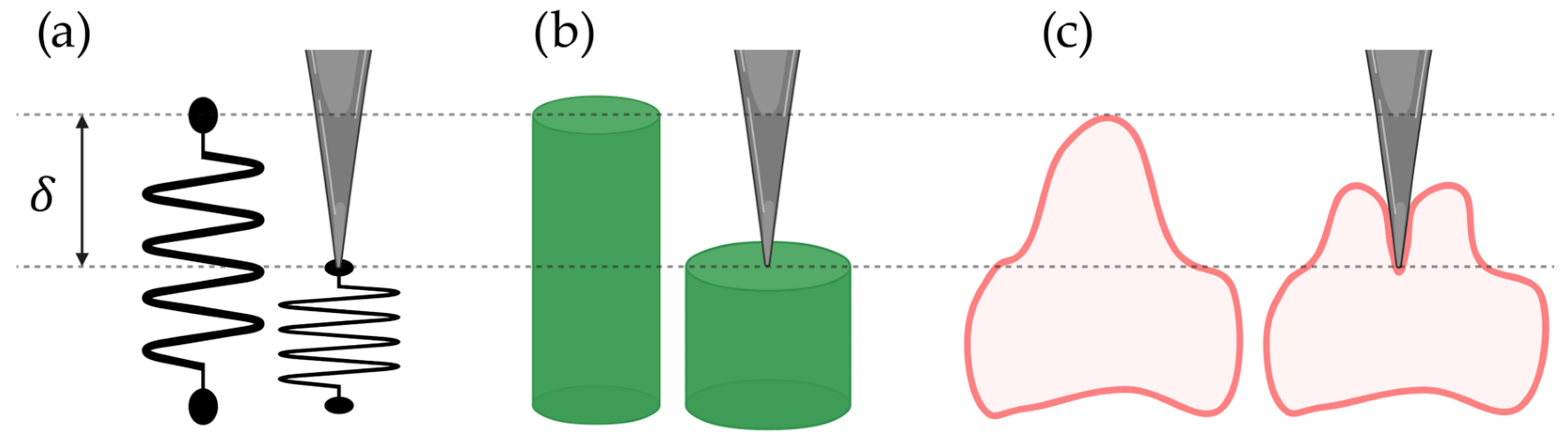 Pharmaceutics 16 00733 g004