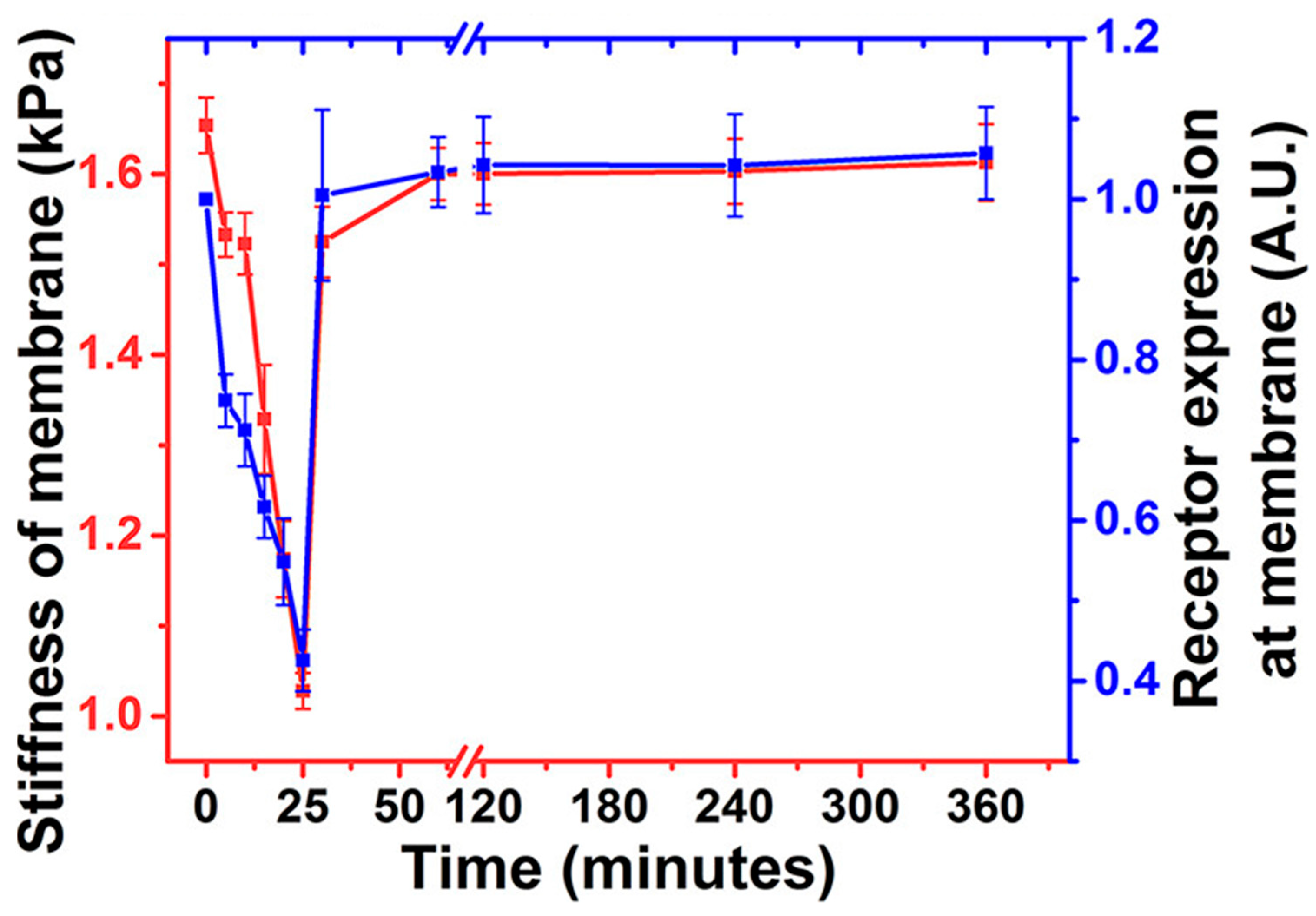 Pharmaceutics 16 00733 g007