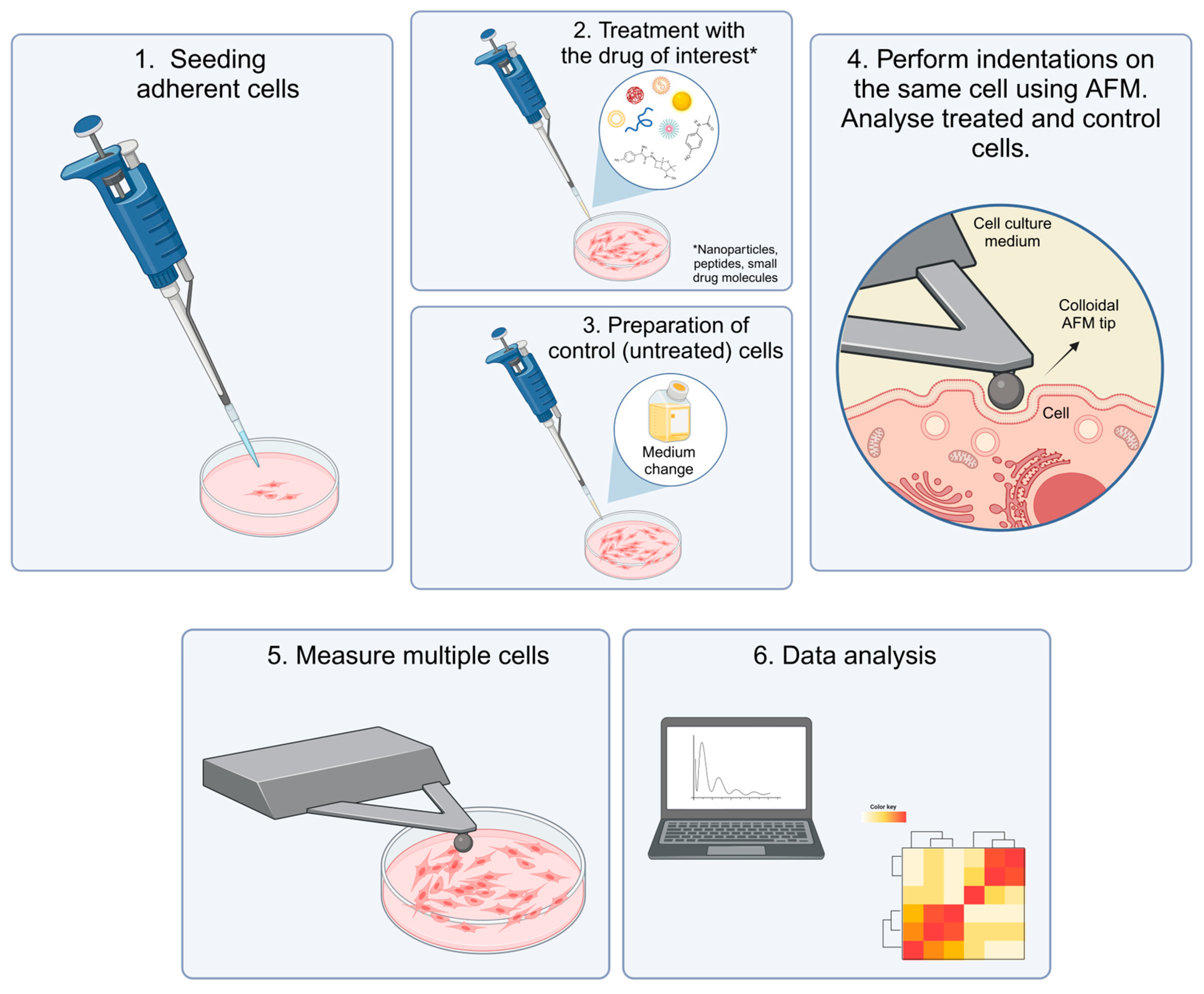 Pharmaceutics 16 00733 g009