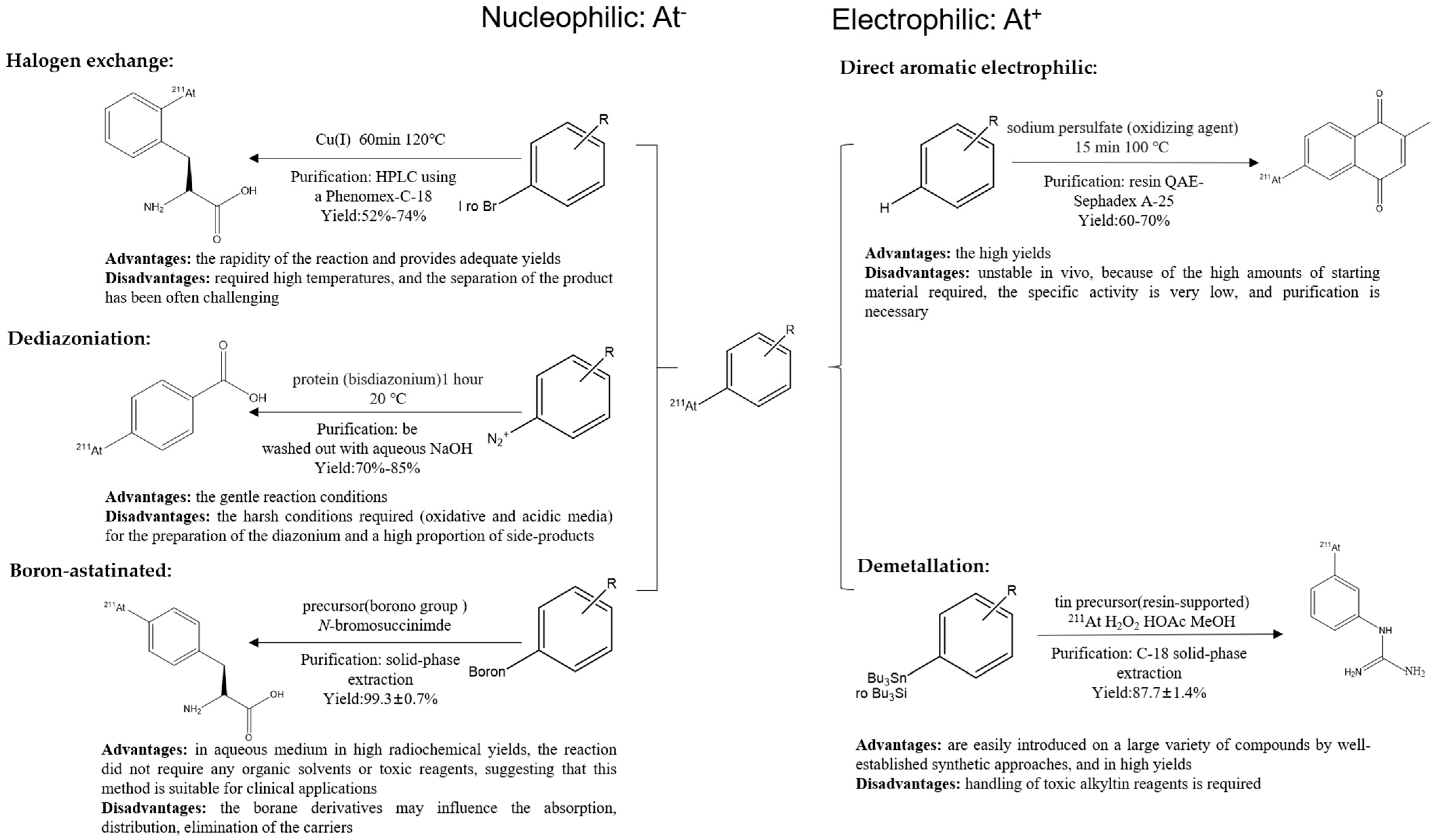 Pharmaceutics 16 00738 g002