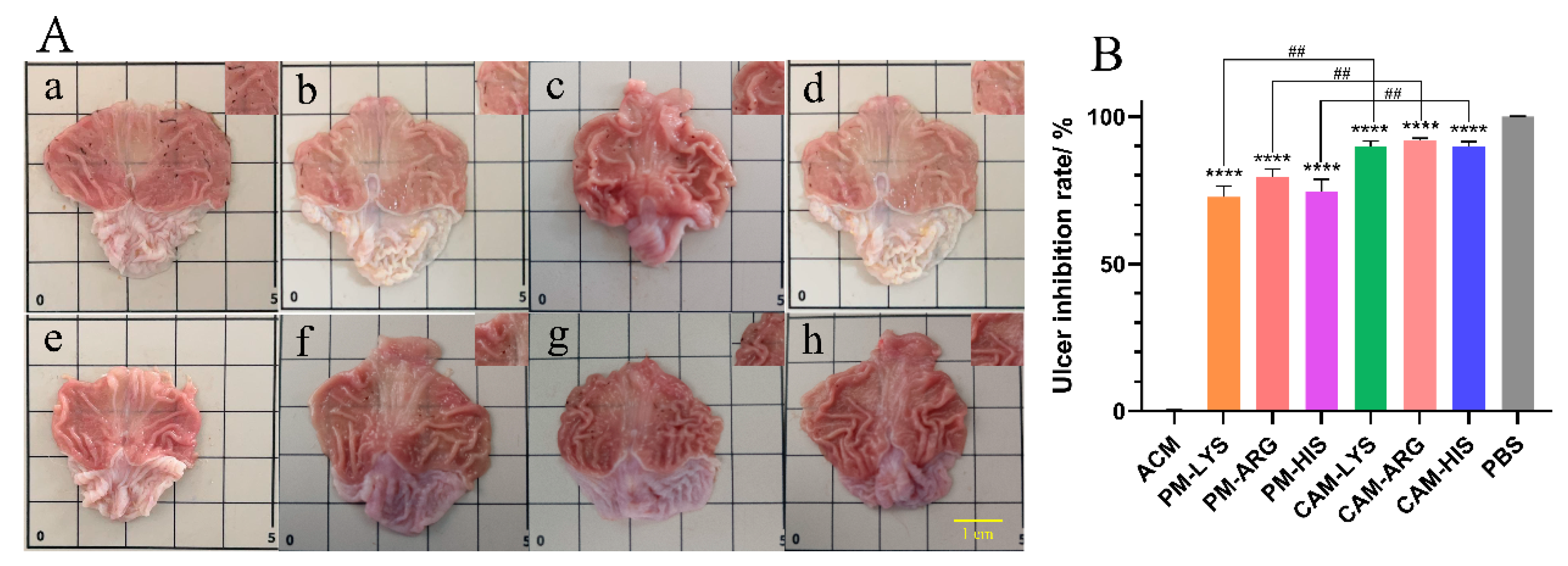 Pharmaceutics 16 00745 g009